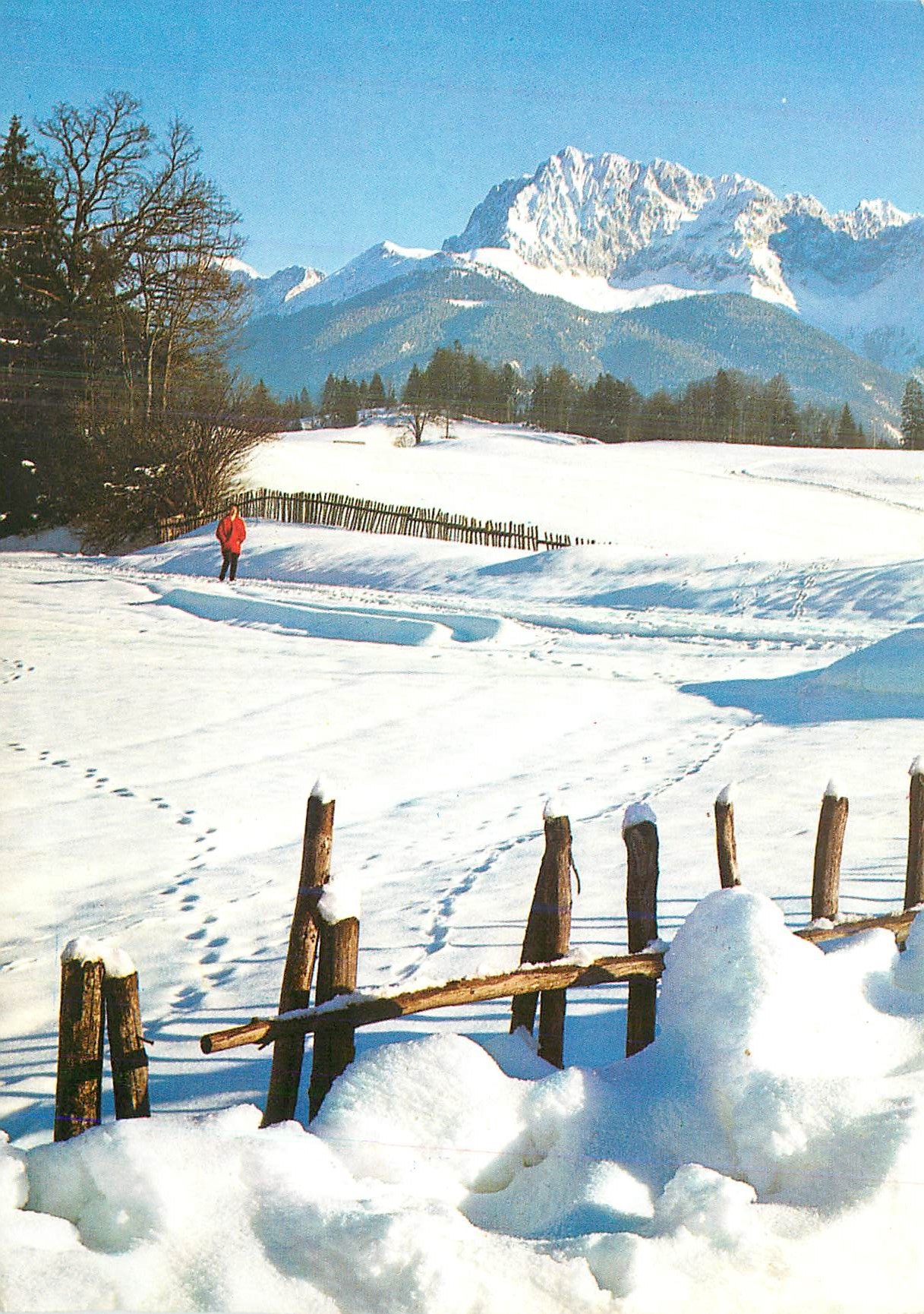 CPM Montagne sous la neige