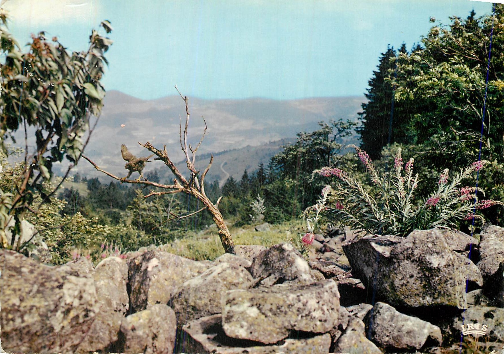 CPM Paysage de l'Est Panorama en montagne
