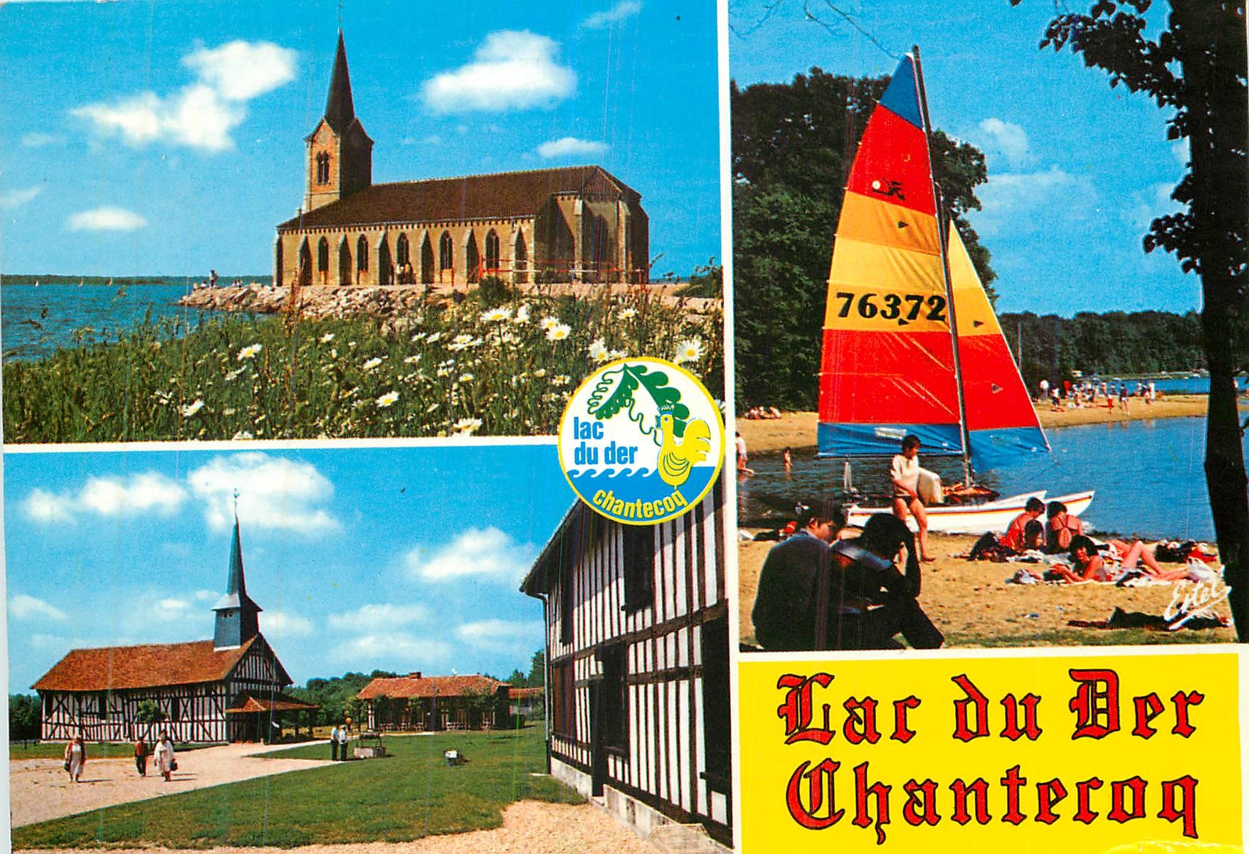 CPM En Champagne Le Lac du Der Chantecoq