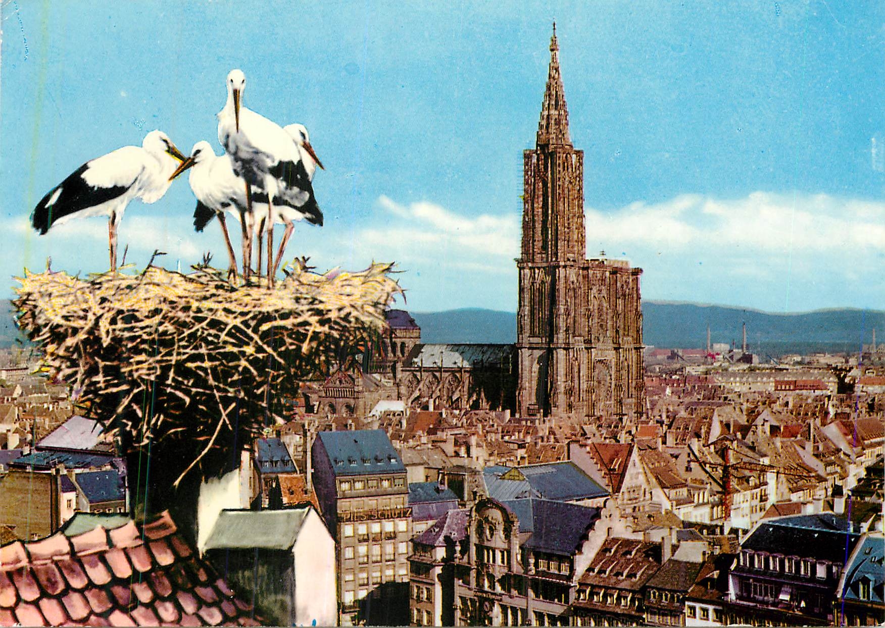Strasbourg (Alsace) — Vue Générale et Nid de Cigognes — Éditions des Romains
