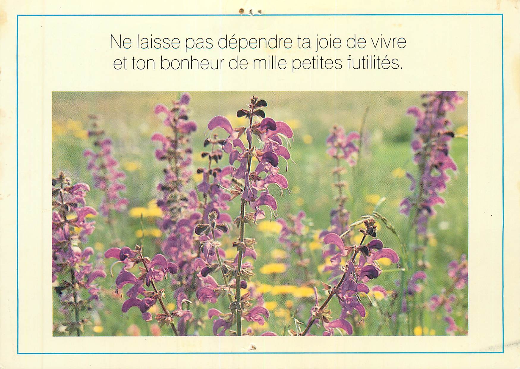 CPM Fleurs