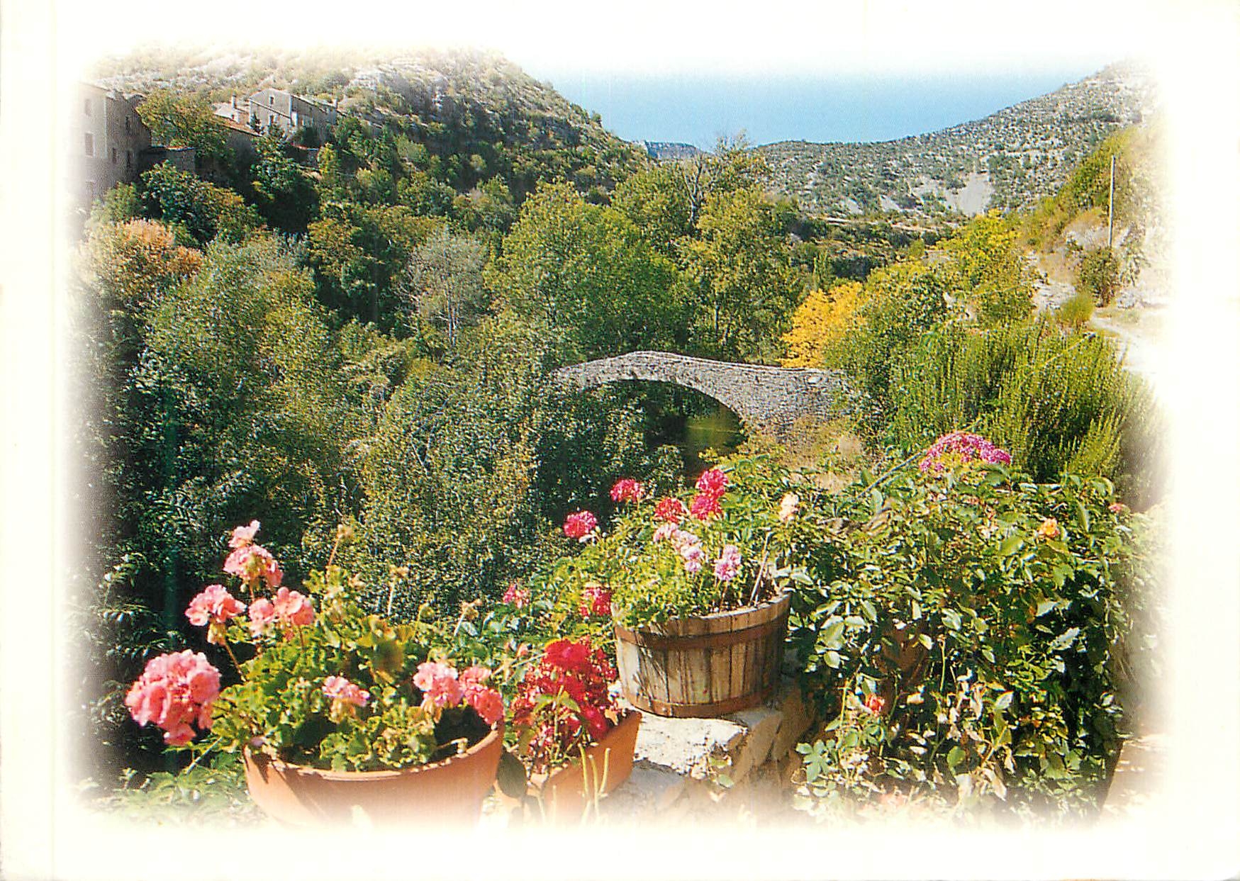 CPM Image du Midi Un petit pont de pierre bien fleuri