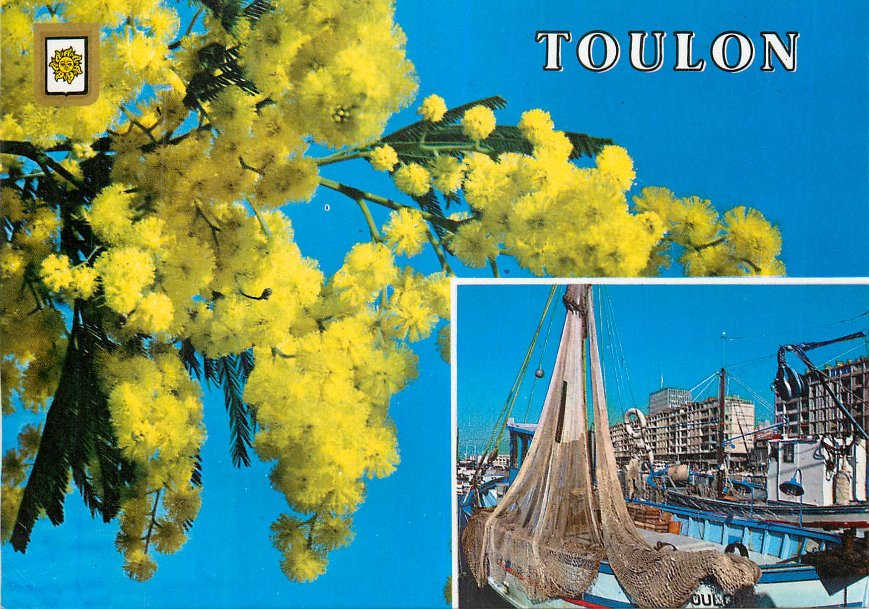 Toulon — fleurs de mimosa et port — éditions de France