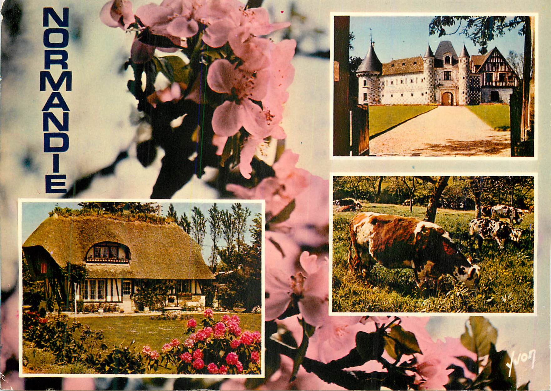 CPM Couleurs et lumuere de france la luxuriante Normandie Vache