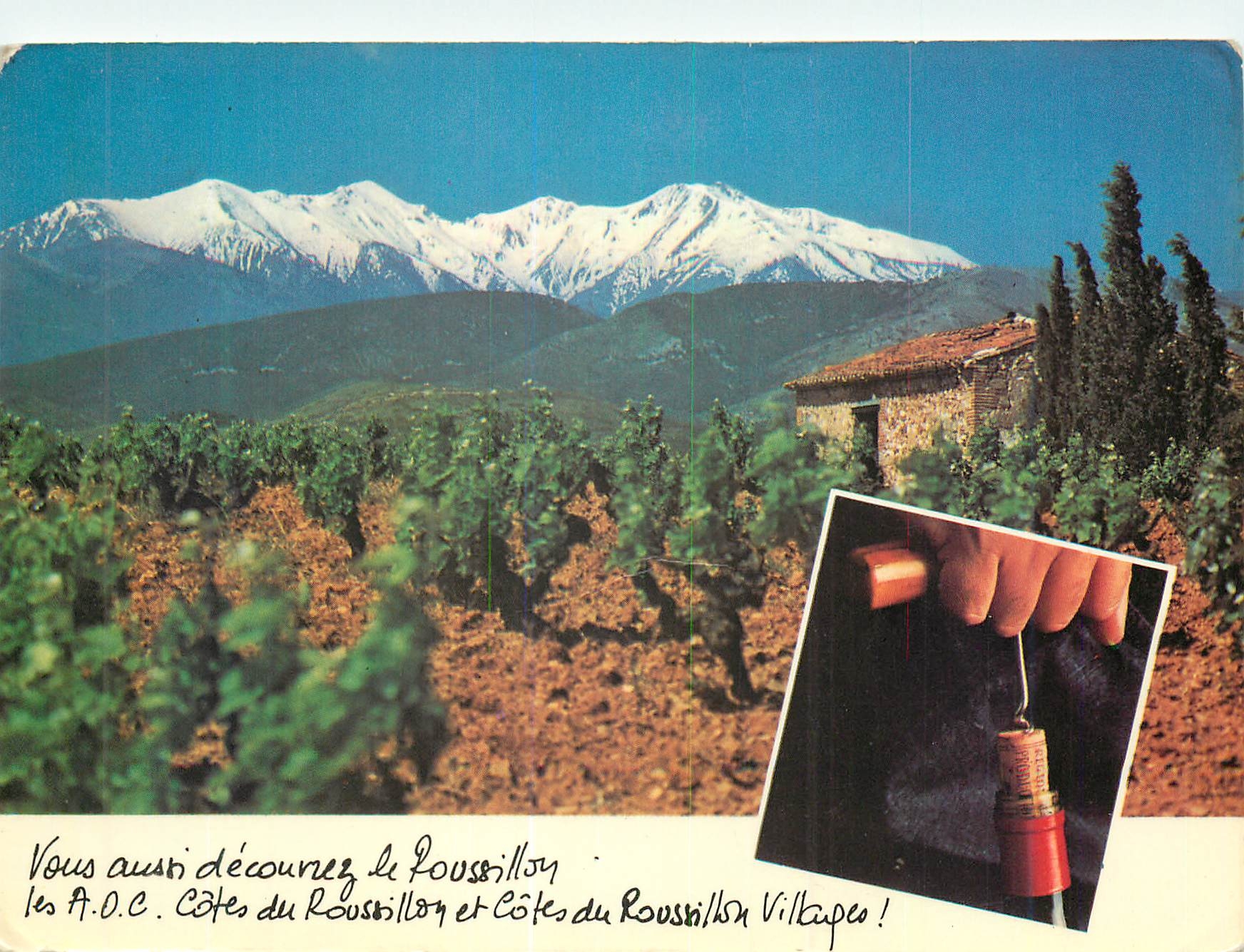 Côtes du Roussillon — Mont Canigou enneigé — G.I.P. promotionnel