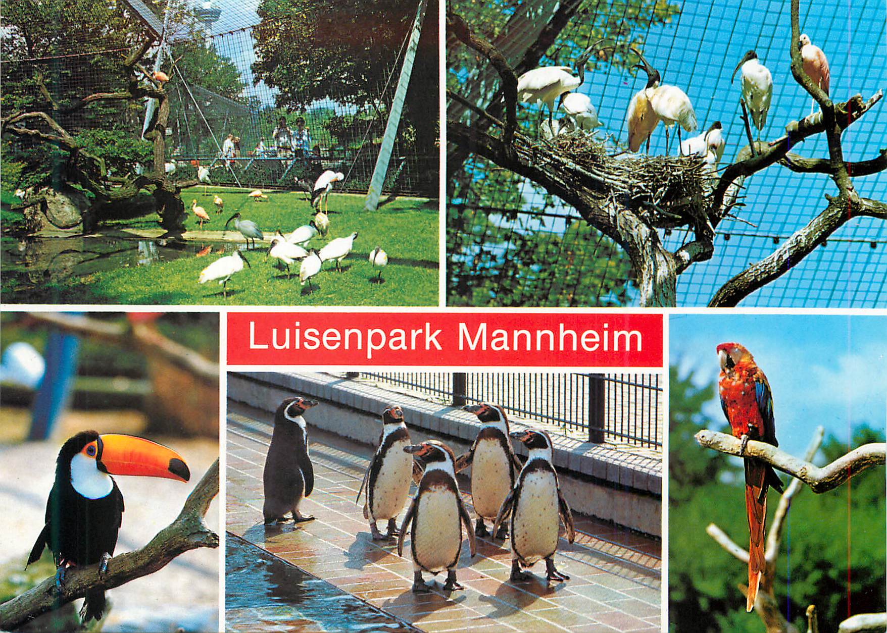 CPM Luisenpark mannheim gelande der bundesgartenschau 1975 vogelparadies beim pflanzeschauhaus