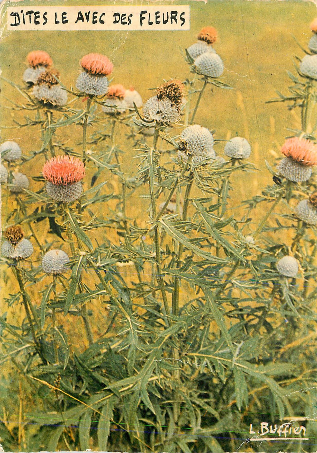 CPM Photo et logende de Louis Buffier Dites le avec des fleurs