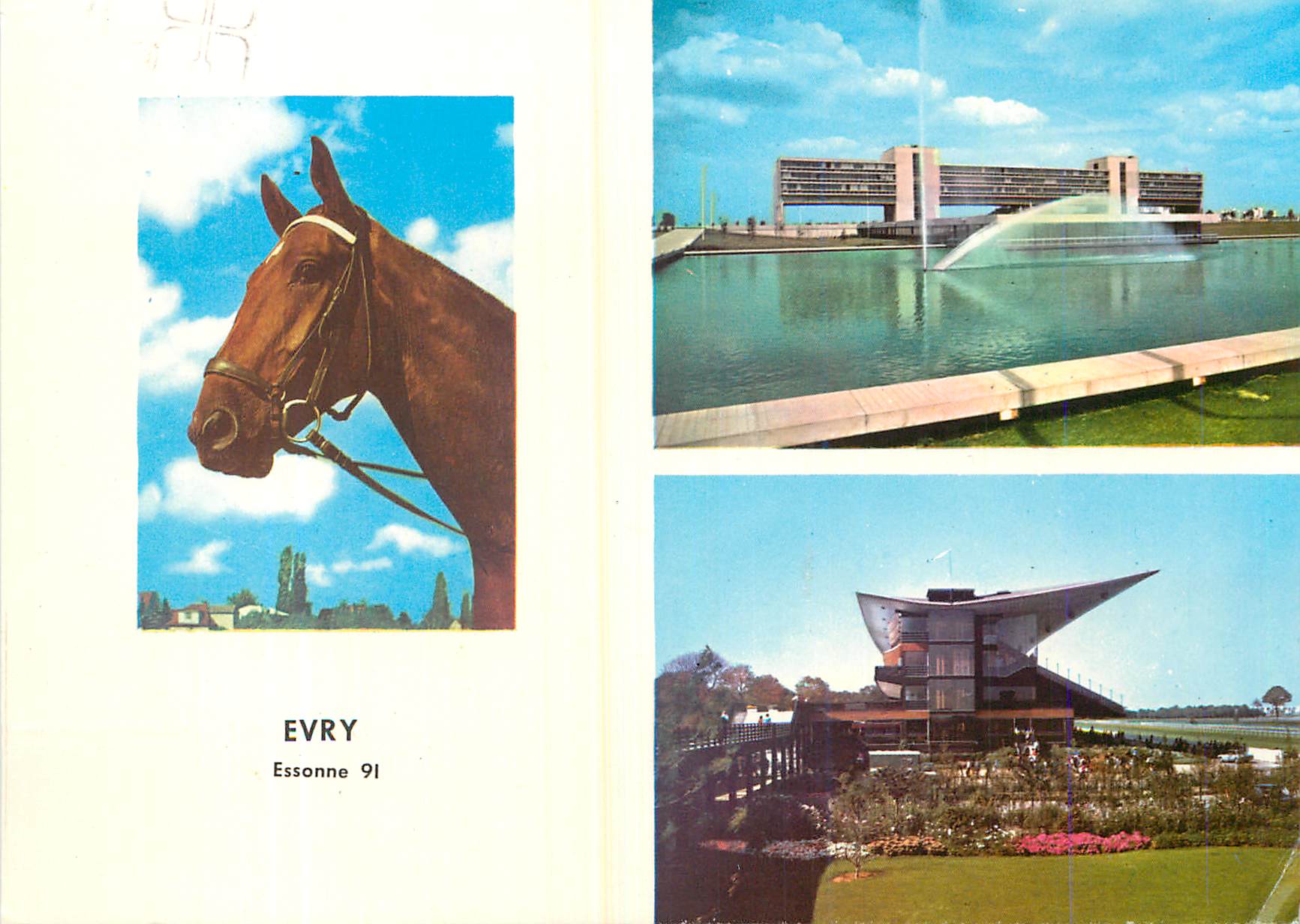 CPM Evry essonne images de france la prefecture le champ de courses Cheval