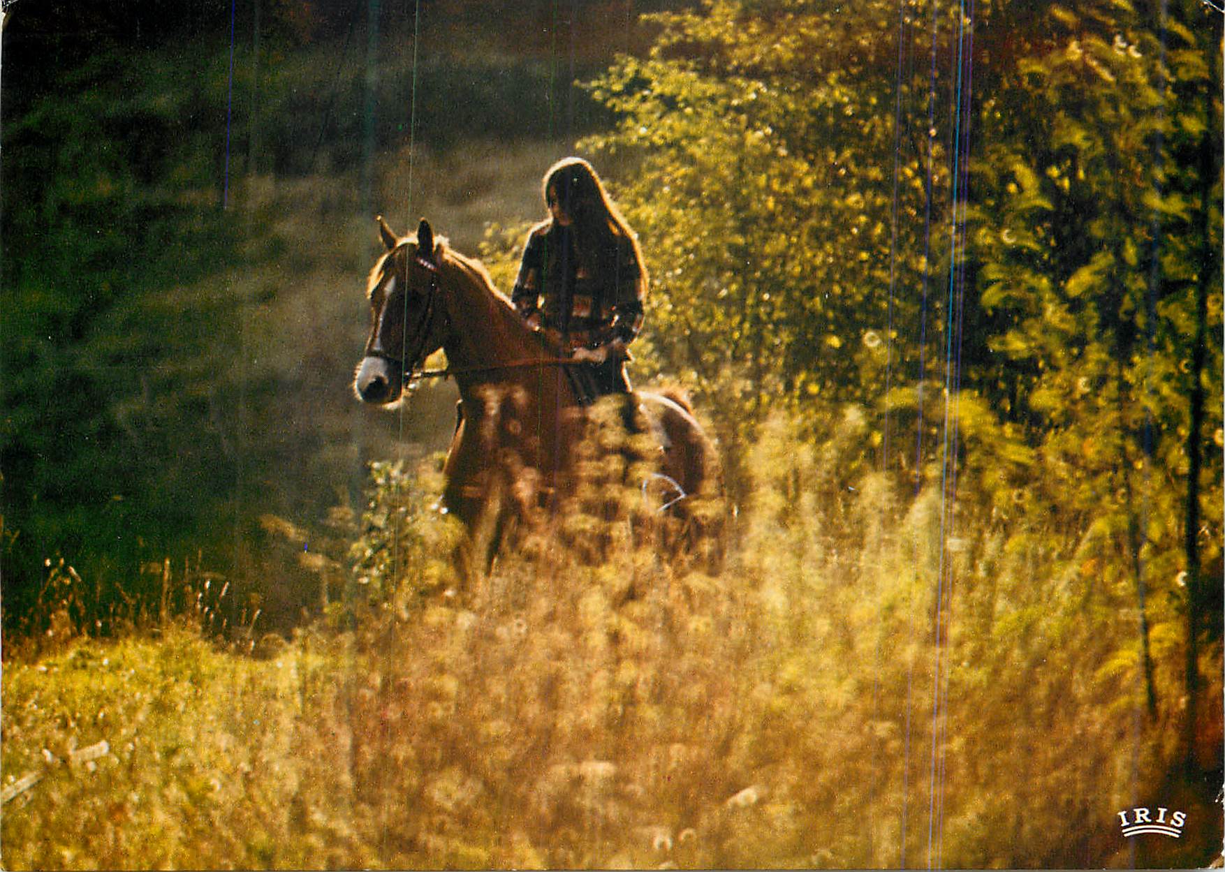 CPM Habilles de vent et de lumiere Cheval