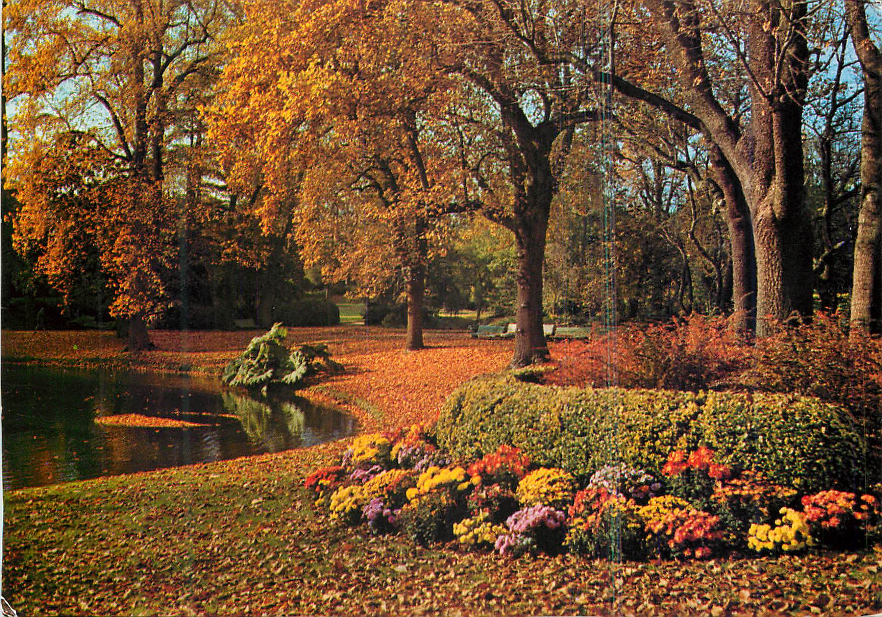 CPM Nantes (Loire Atlatique) le jaridin des plantes