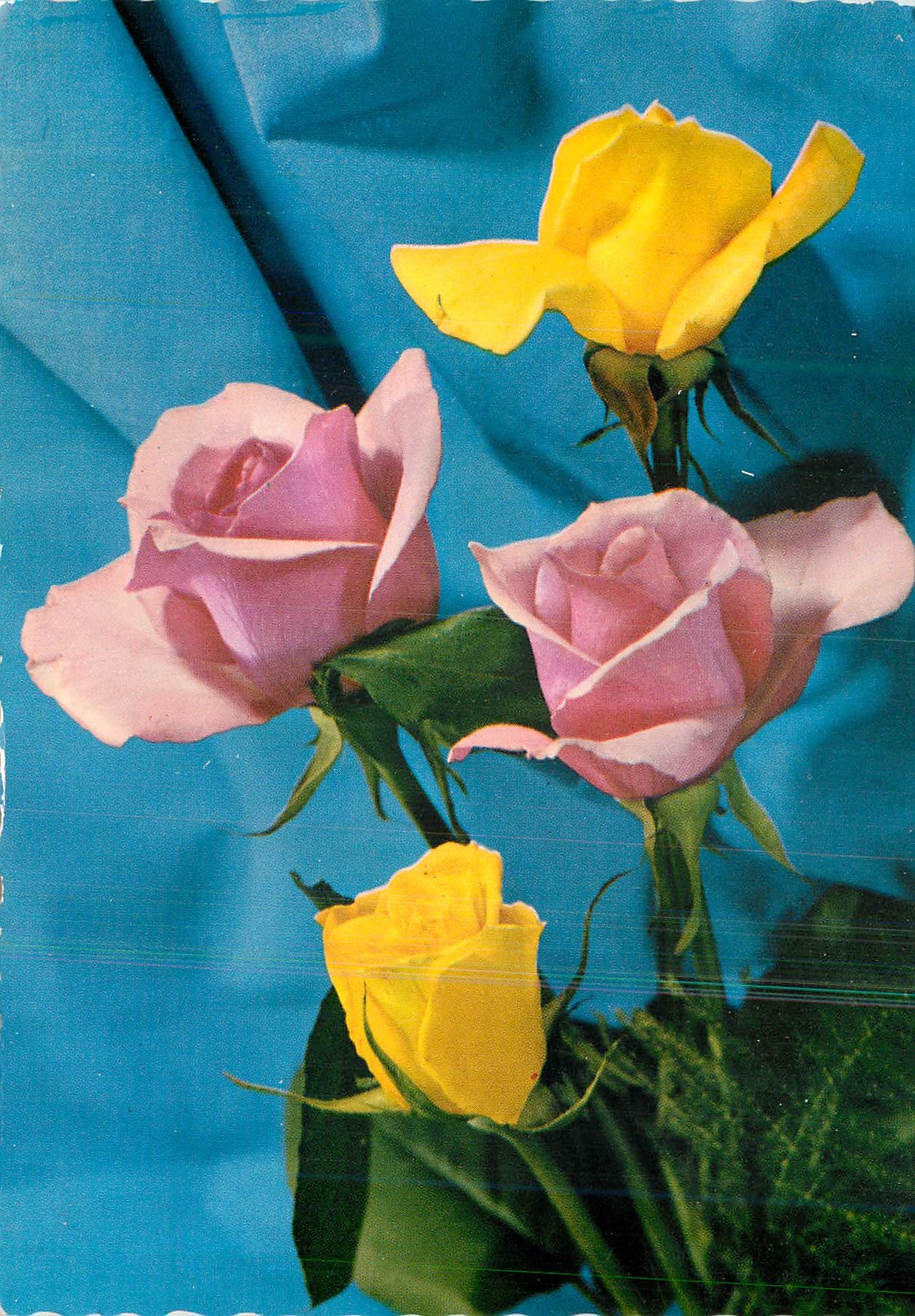 CPM Fleurs