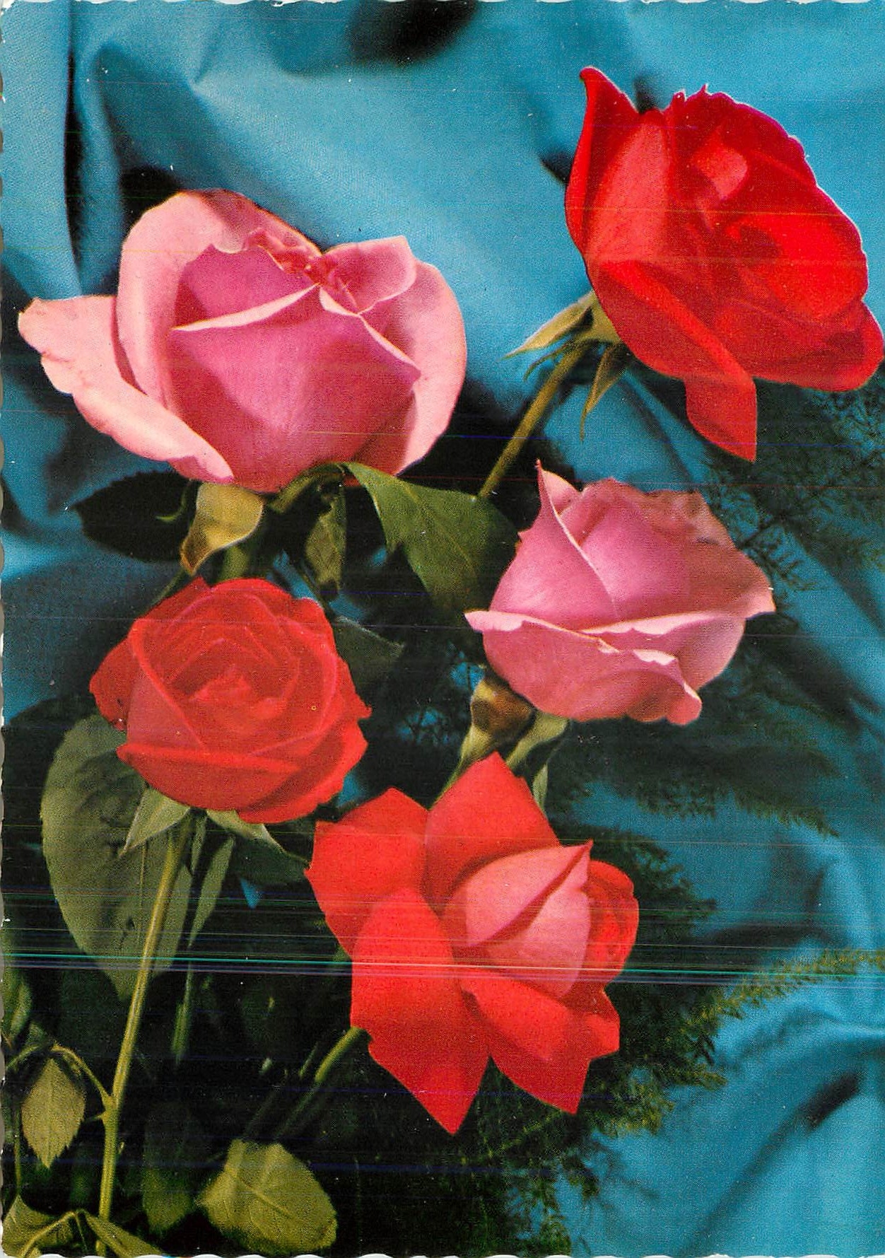 CPM Fleurs