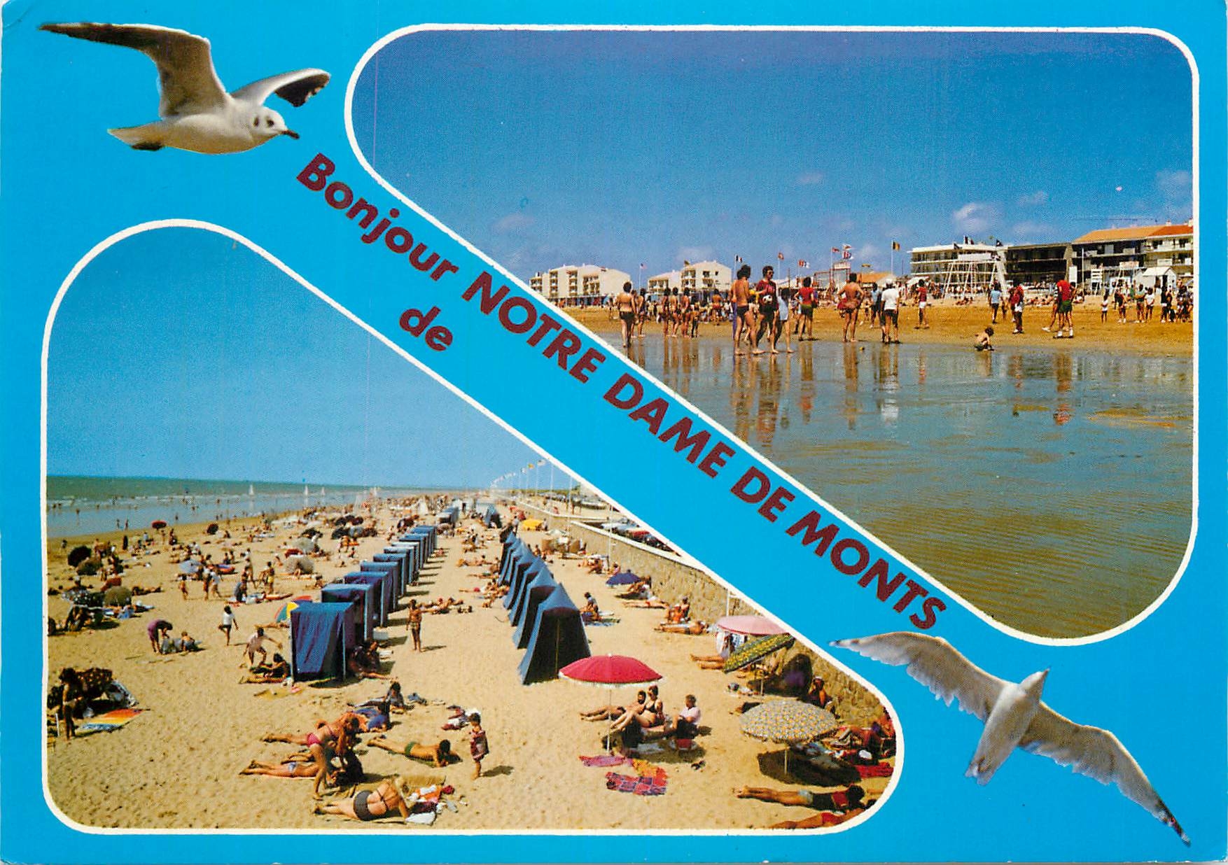 CPM La Vendee Touristique Notre-Dame-De-Monts La Plage