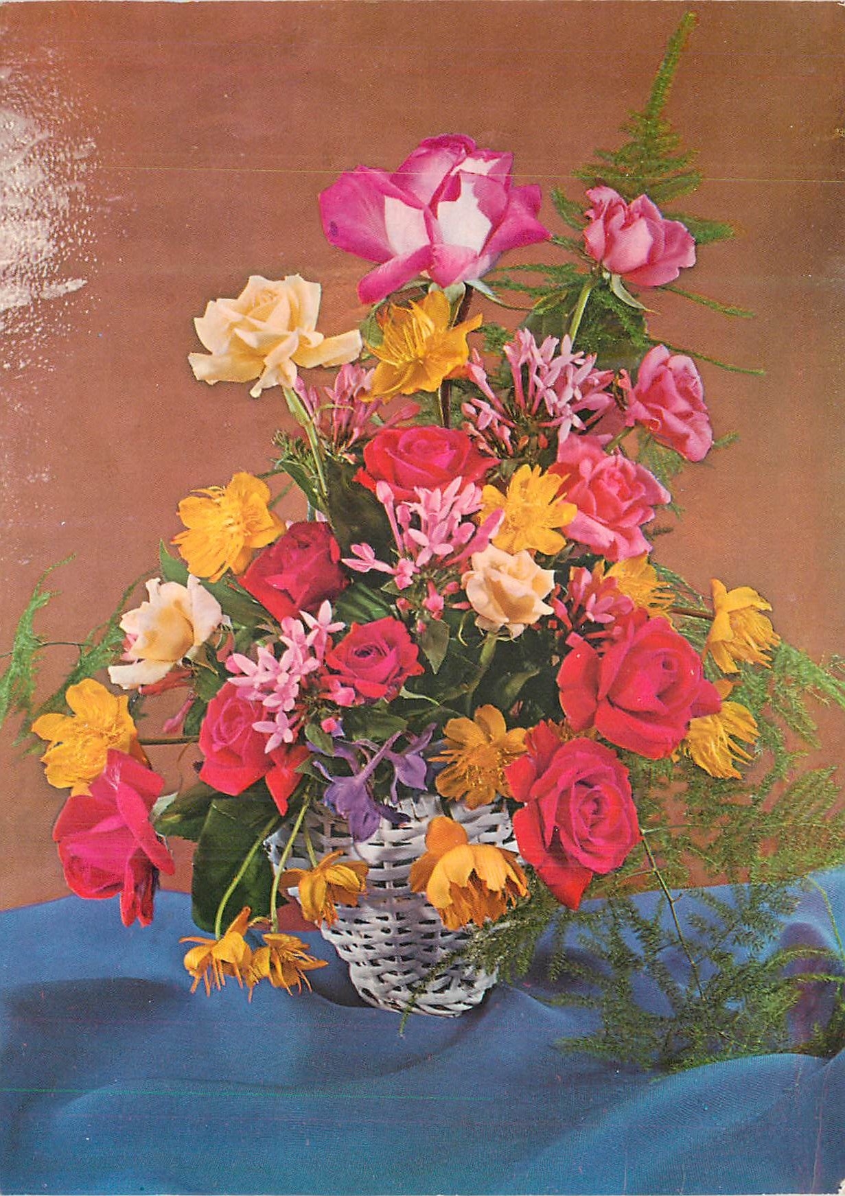 CPM Fleurs Roses