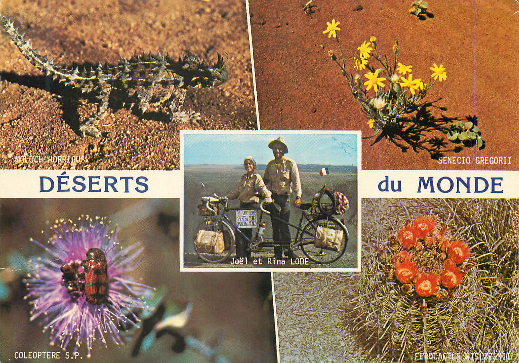 CPM Bretagne Tour du Monde et Desert a bicyclette