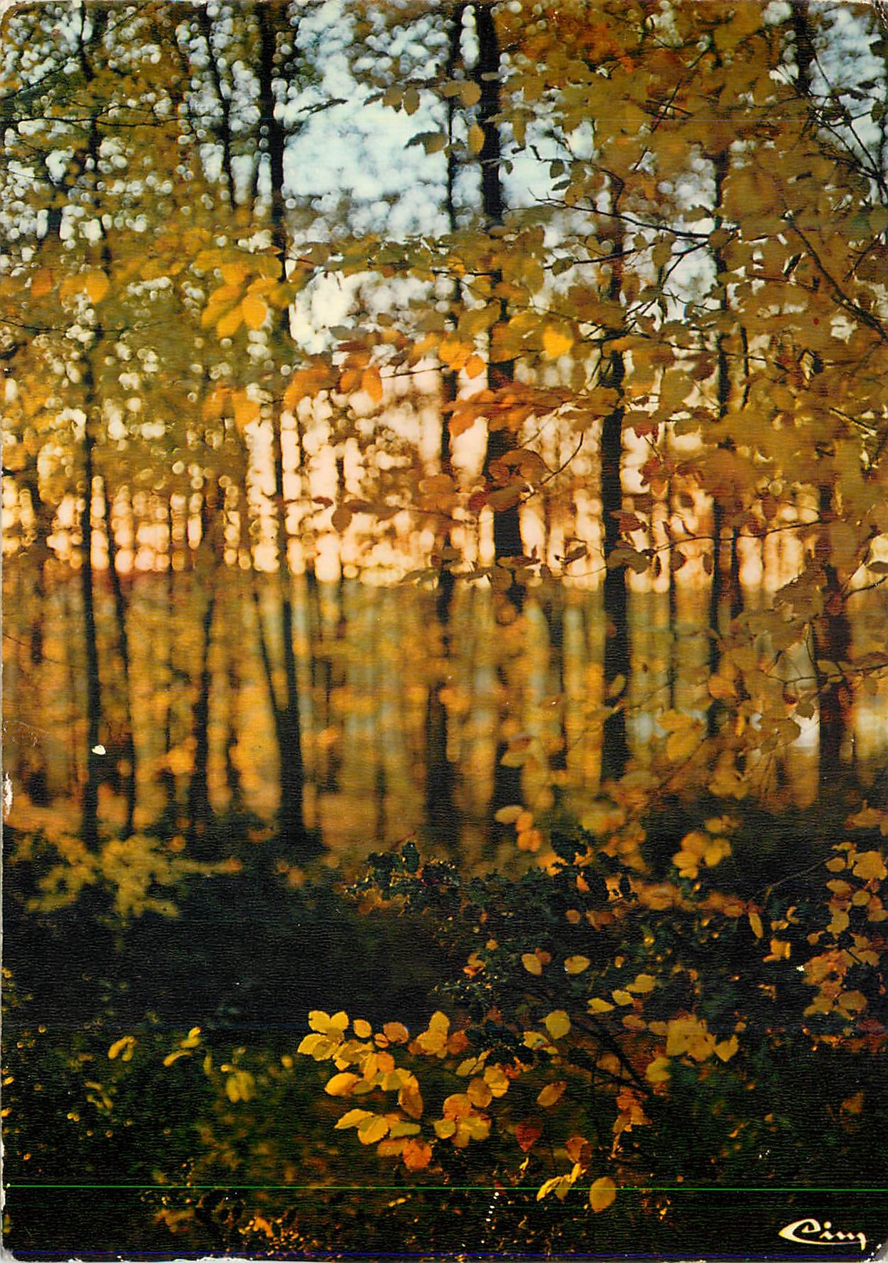 CPM Notre Belle France Sous-bois a l'automne