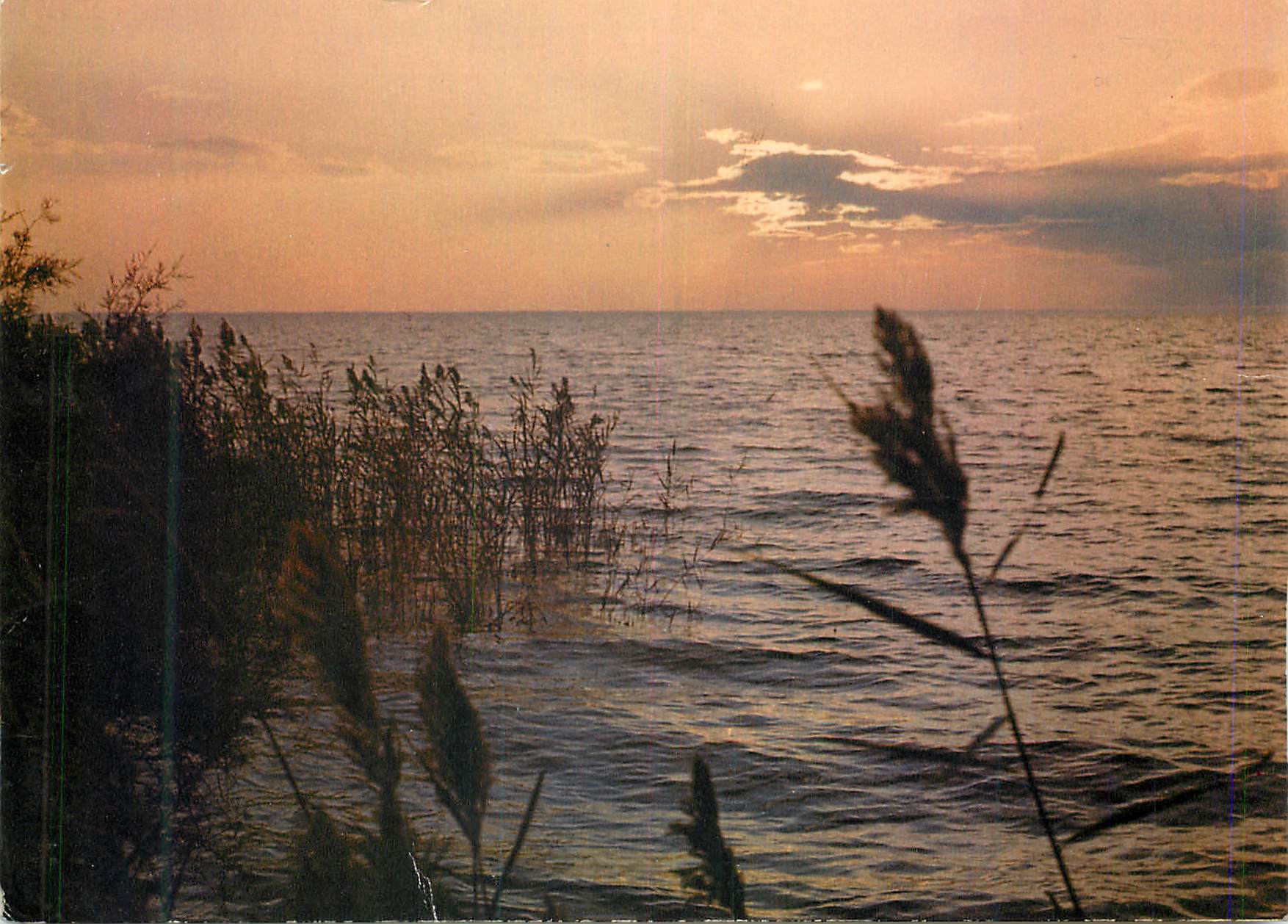 CPM Camargue Lumieres de Tradition Crepuscule sur l'Etang de Veccares