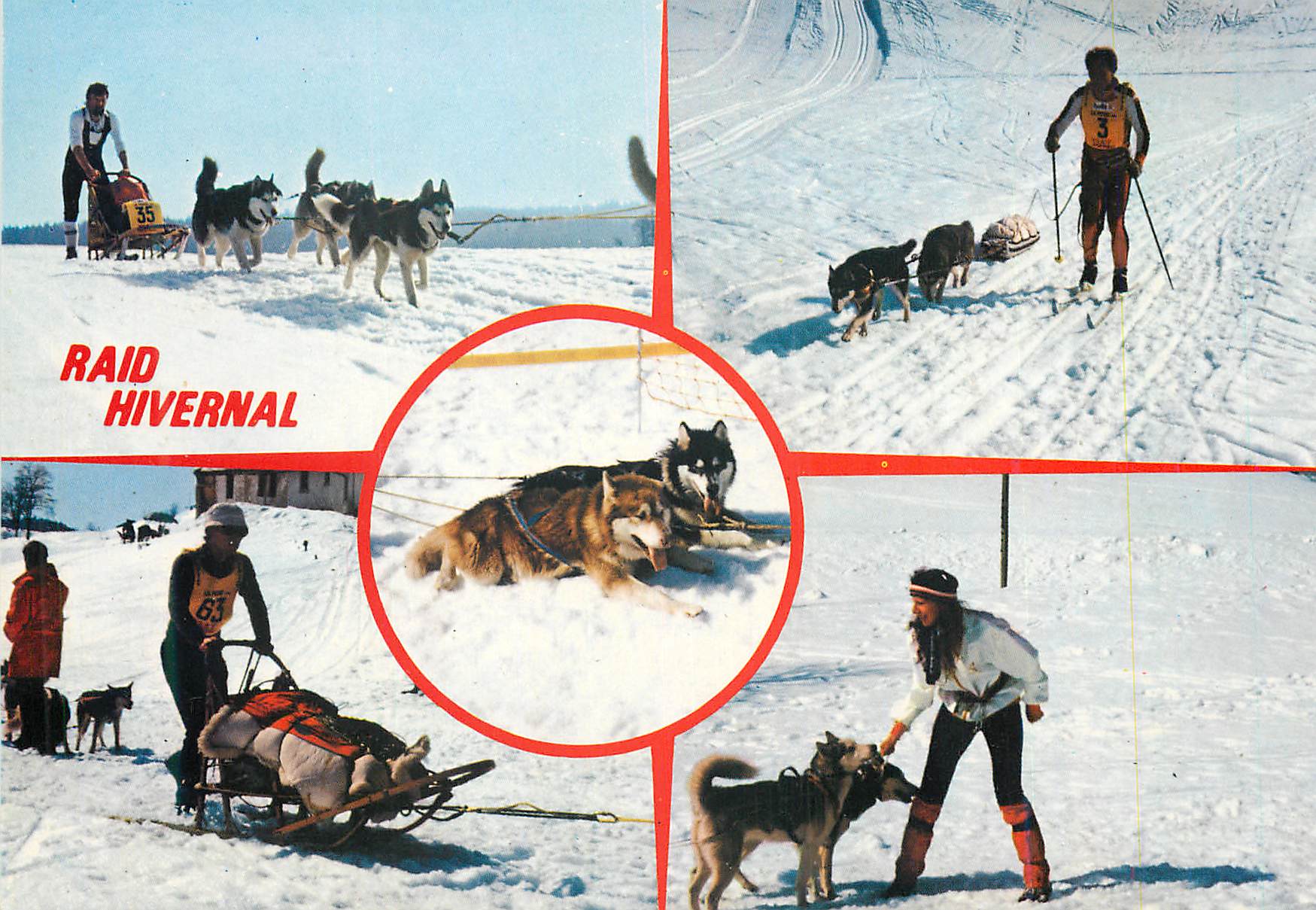 CPM Chaux-Neuve (Jura) Raid Hivernal Chien Traineau