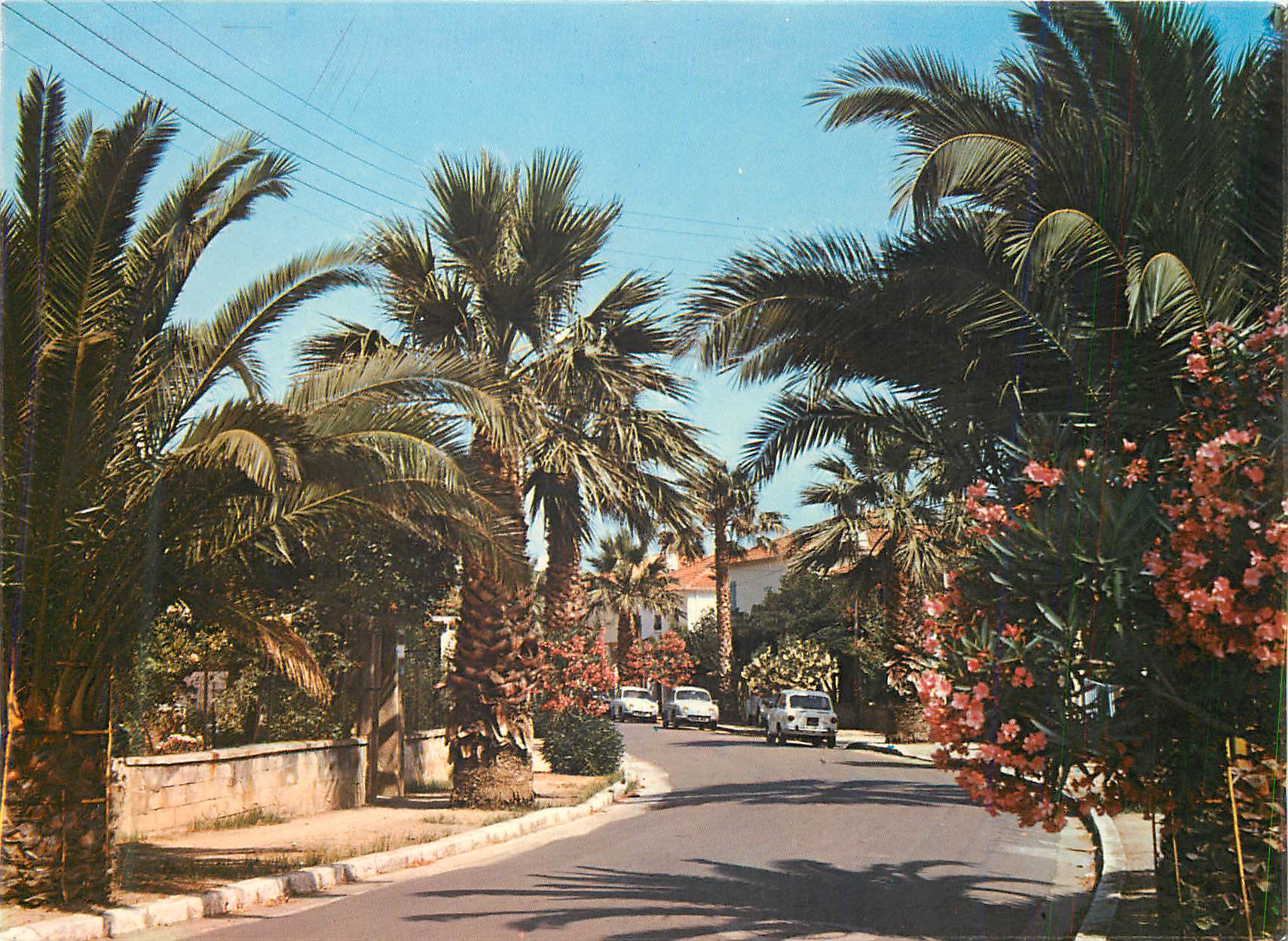 Hyères Les Palmiers — Une rue fleurie — Les Éditions de la Côte d'Azur, n° 1