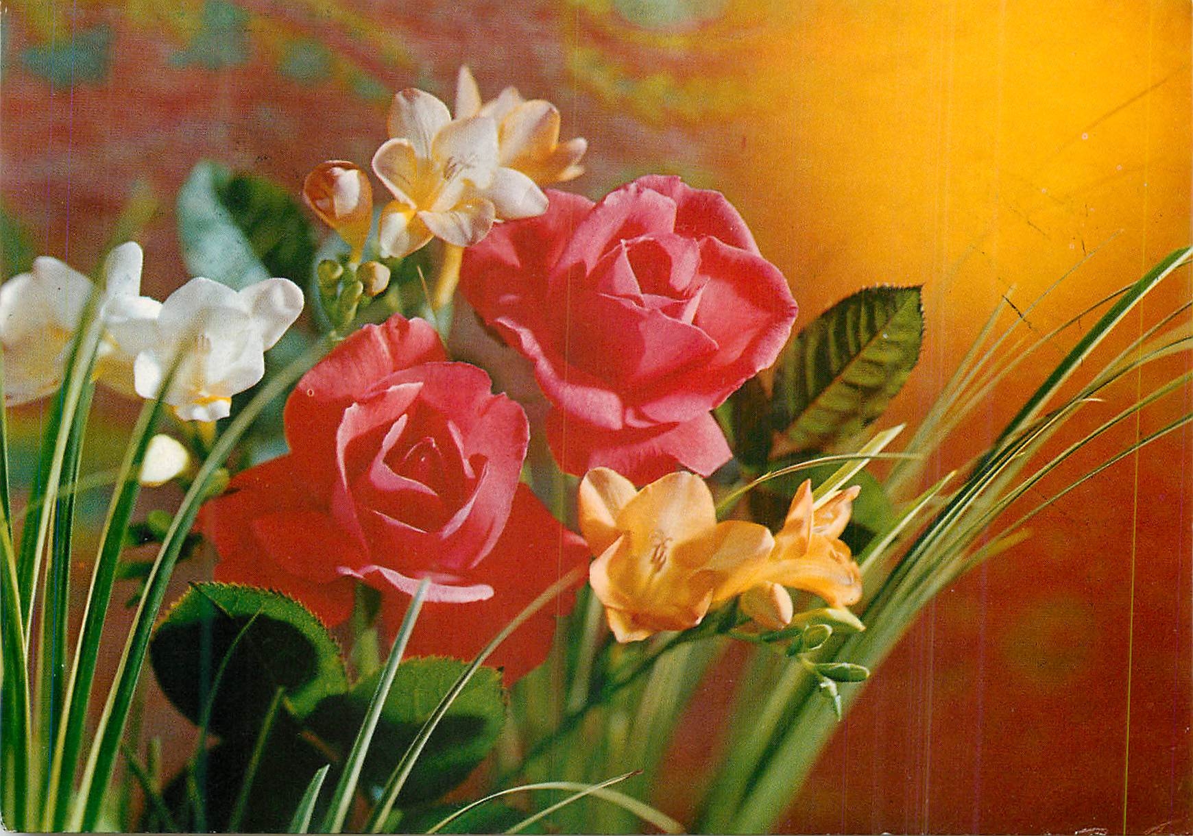 CPM Fleurs