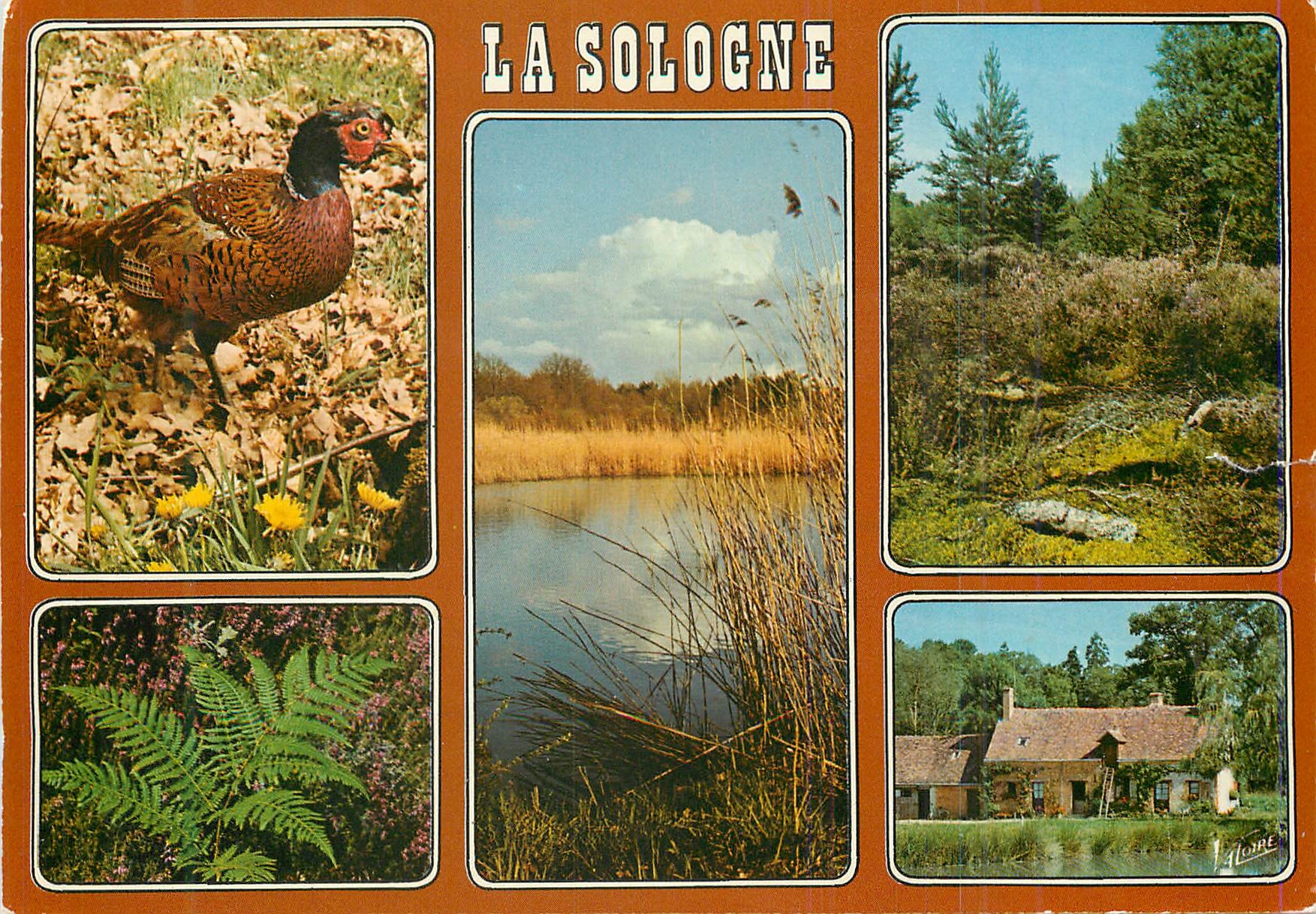 CPM La Sologne