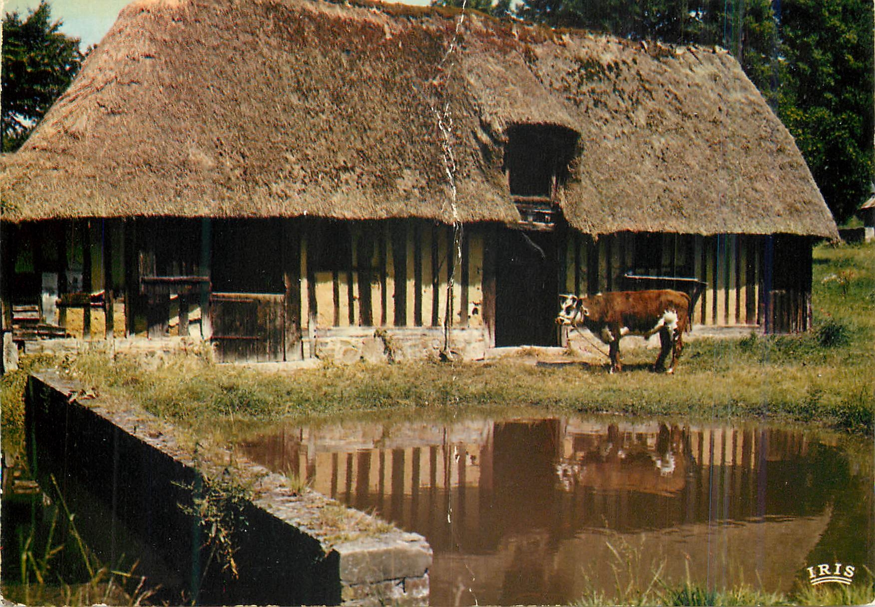 Ferme normande — Charmes et Couleurs — Éditions IRIS