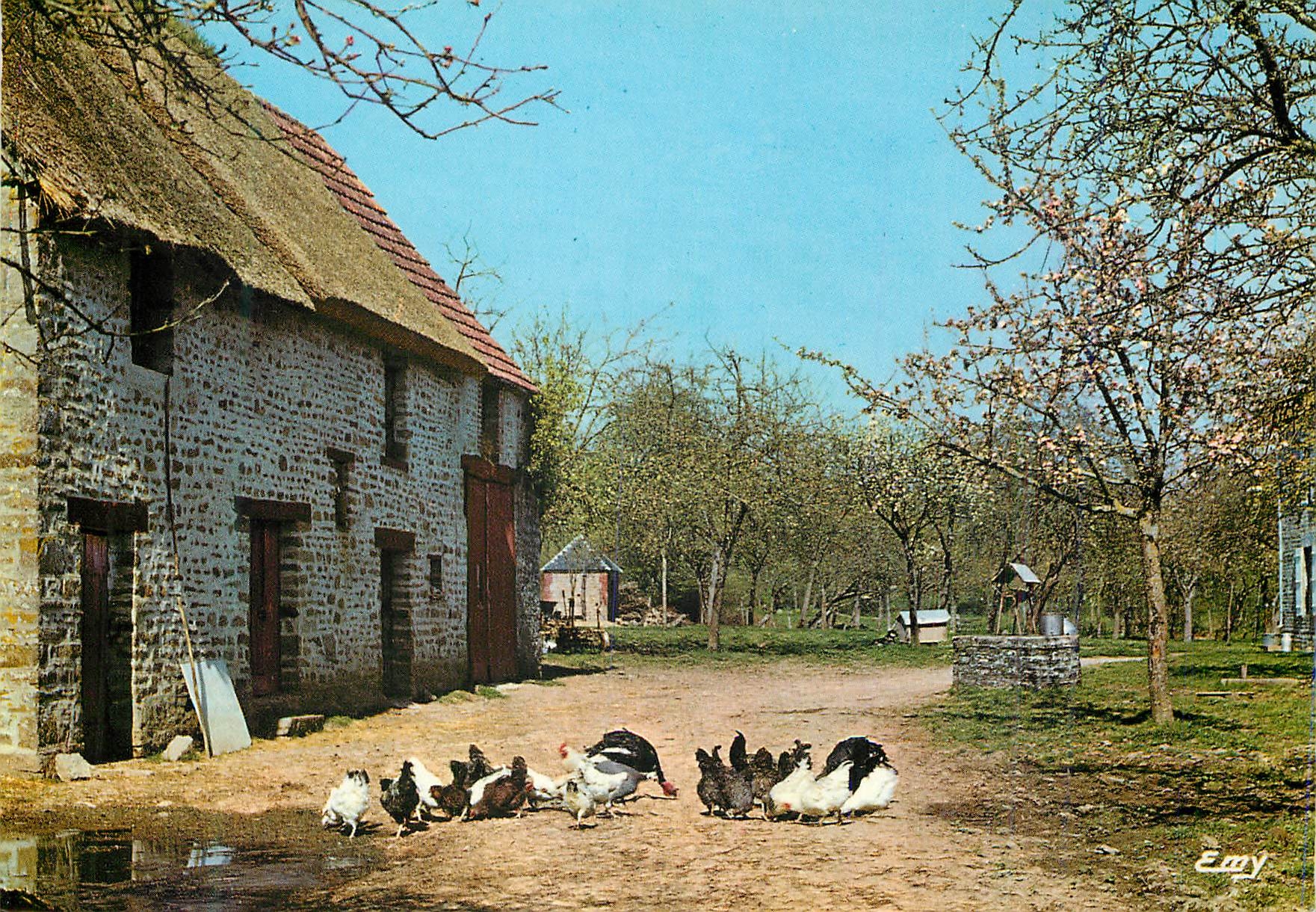 CPM La Normandie Pittoresque Cour de ferme Poules