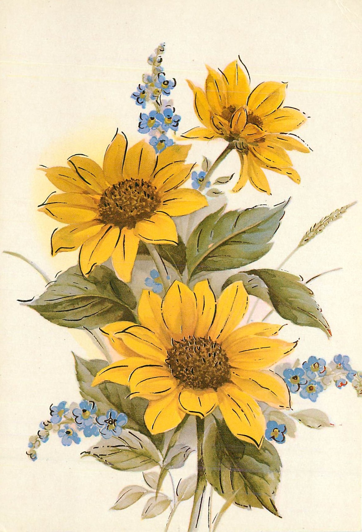 CPM Fleurs de Tournesol