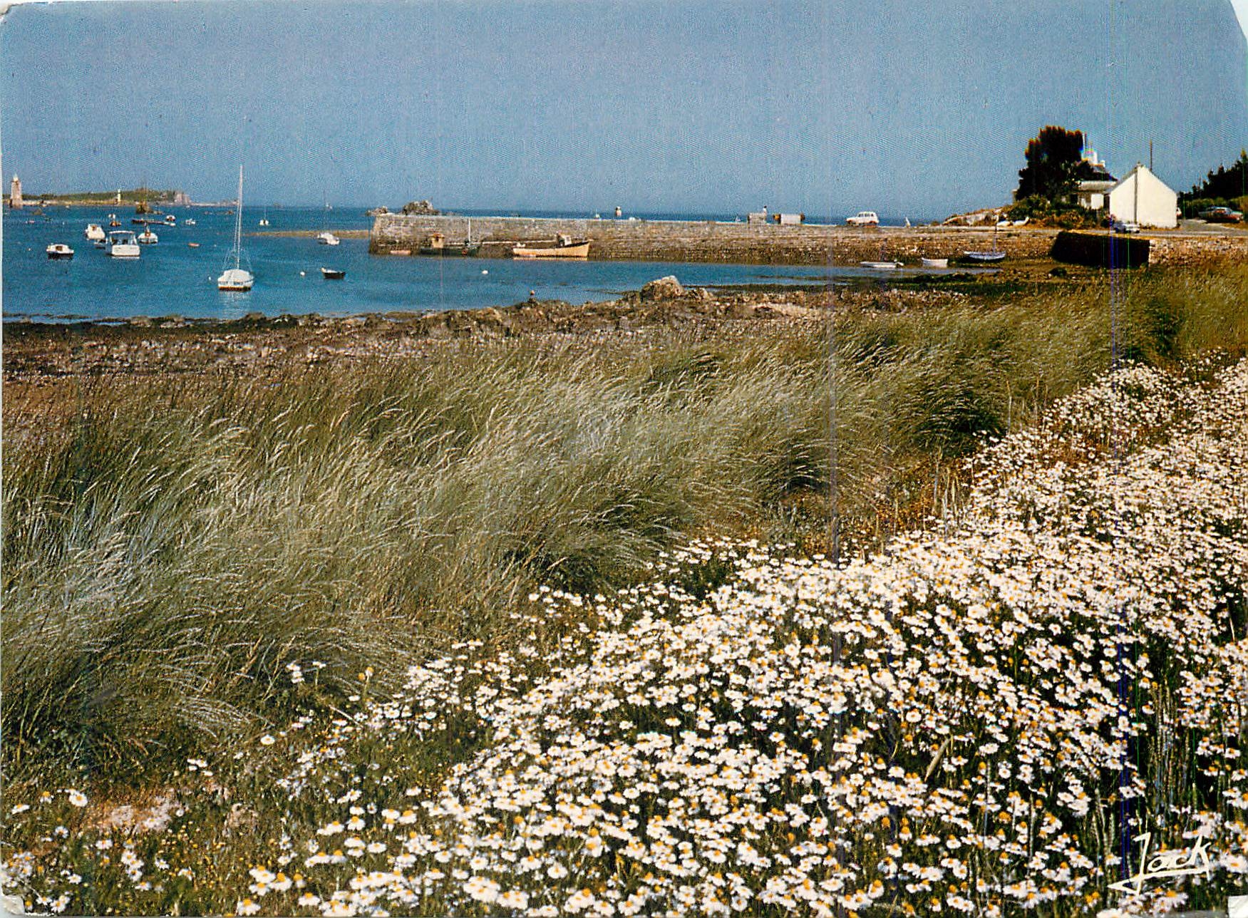 CPM Bretagne La Presqu'ile Sauvage Pleubian Port-Beni