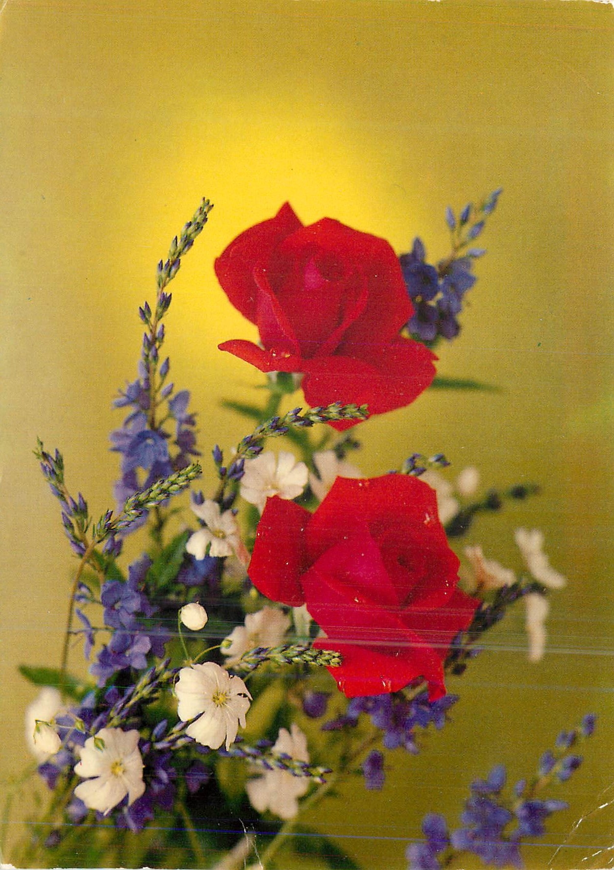 CPM Fleurs Roses