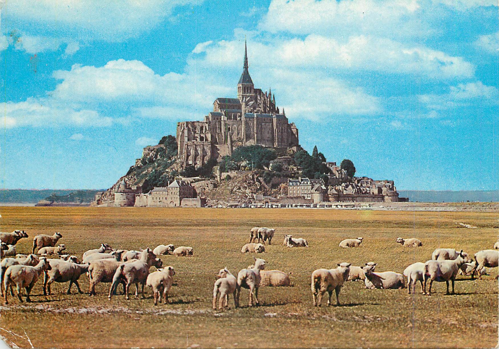 CPM Le Mont Saint Michel (Manche) Le Mont et les Paturage de pres sales Moutons