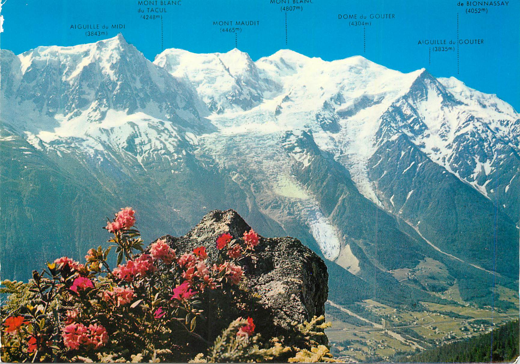 CPM Chamonix Mont Blanc (Haute Savoie) La Chaine du Mont Blanc vue du Brevent