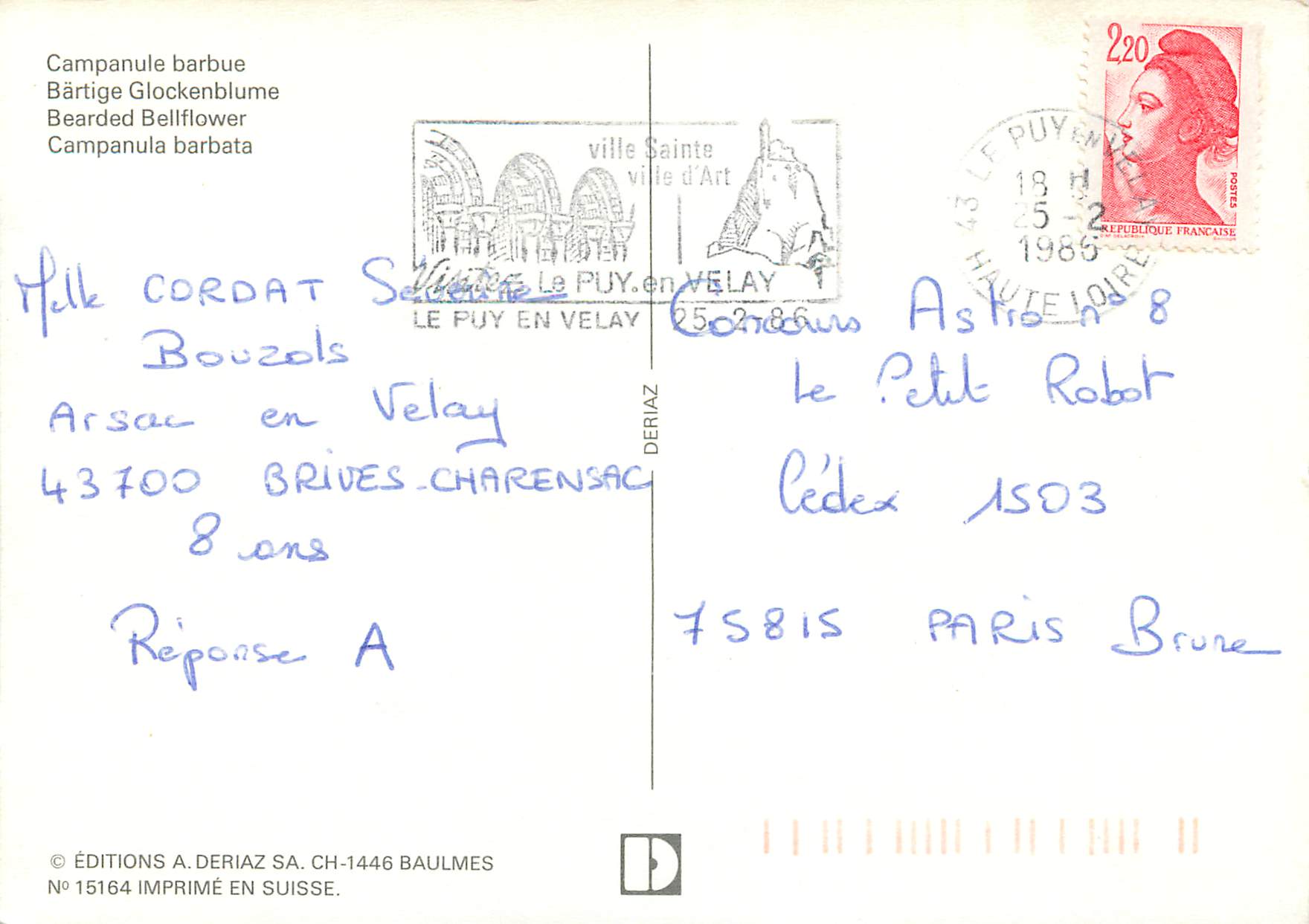 CPM Le Puy en Velay Campanule barbue — Back
