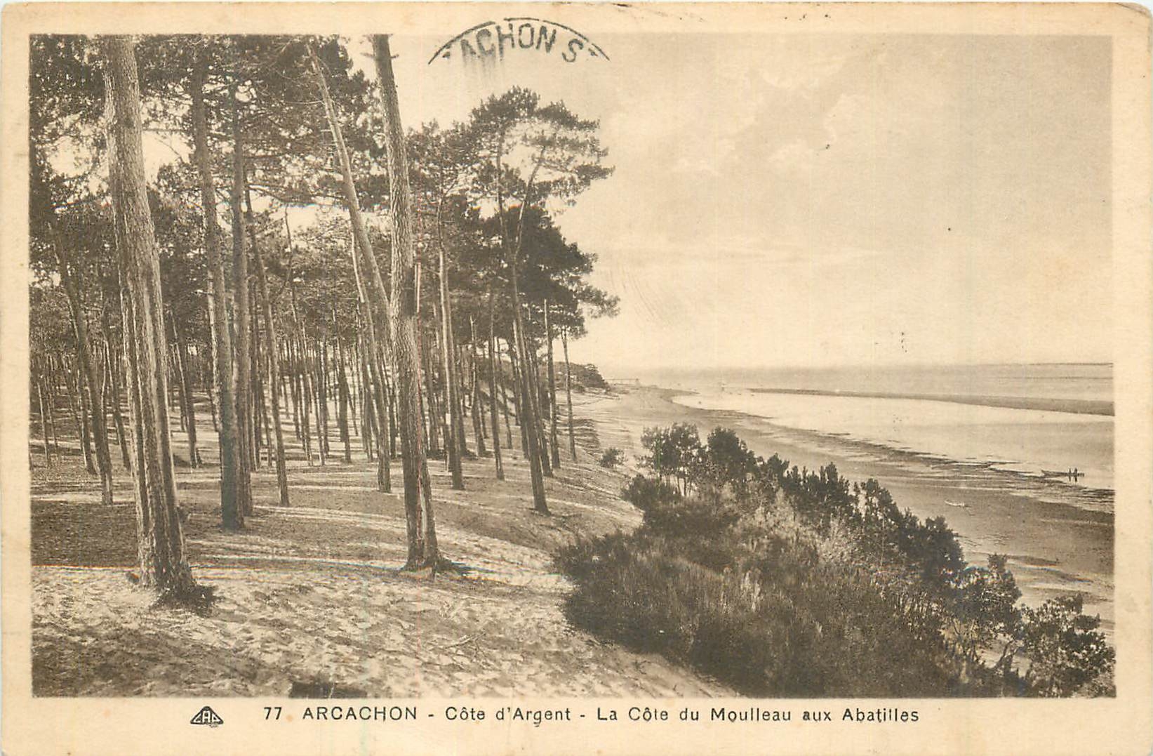 Arcachon - Côte d'Argent - La Côte du Moulleau aux Abatilles
