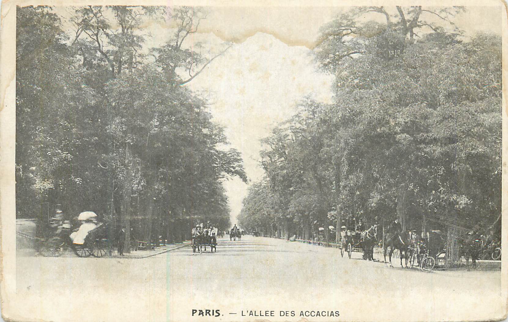 CPA Paris L'Allee des Accacias