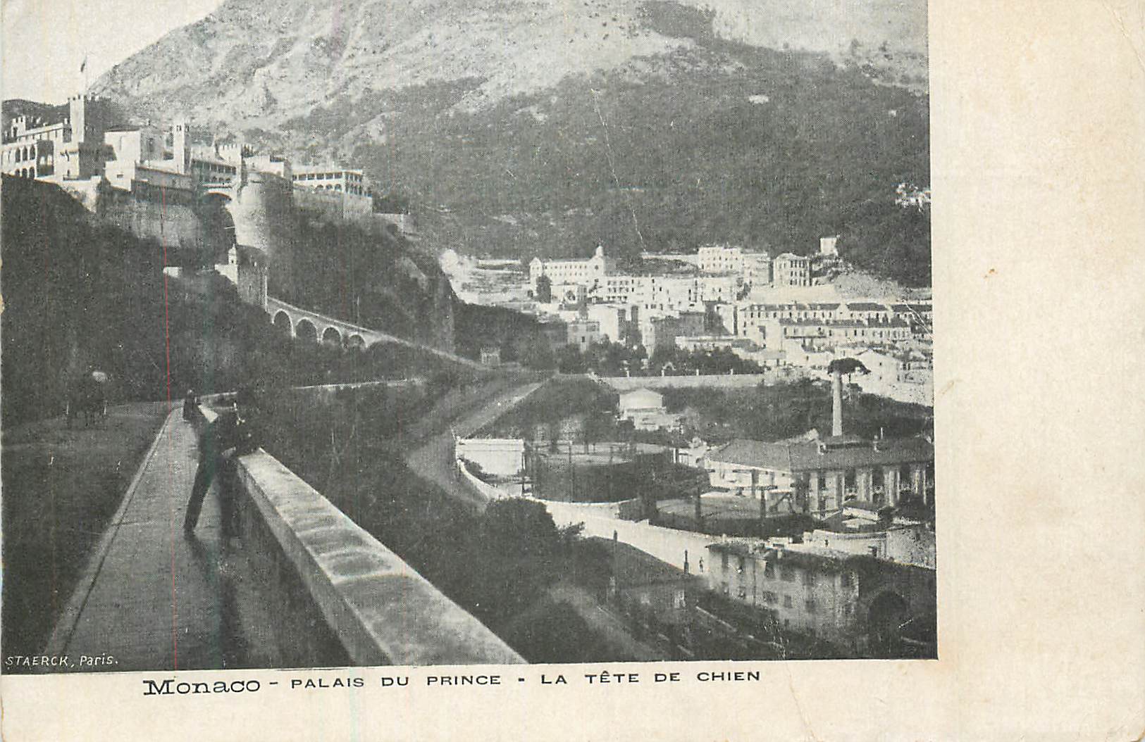 CPA Monaco Palais du Prince La Tete de Chien