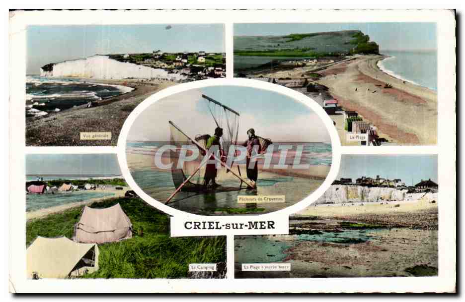 CPSM Criel sur mer Pecheurs de crevettes