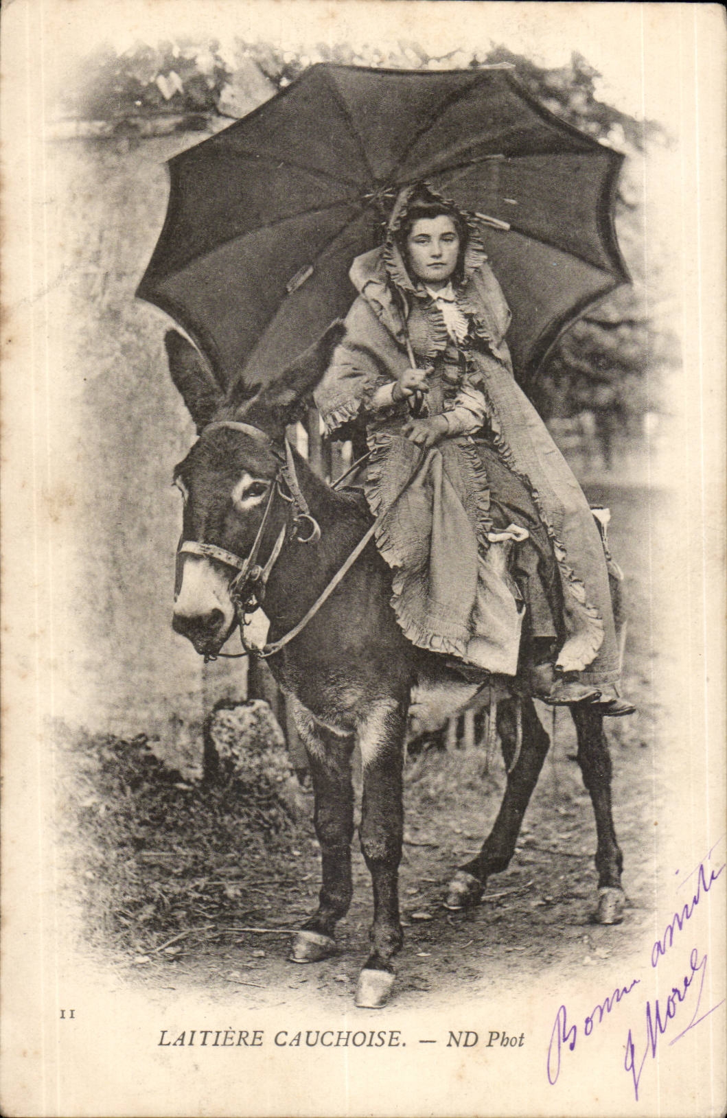CPA Laitiere Cauchoise Ane Donkey TOP