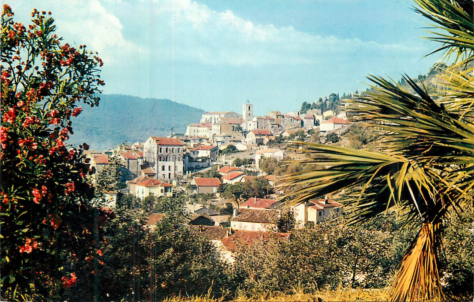 CPM La COte d'azur french riviera Hyeres les palmiers vue generale