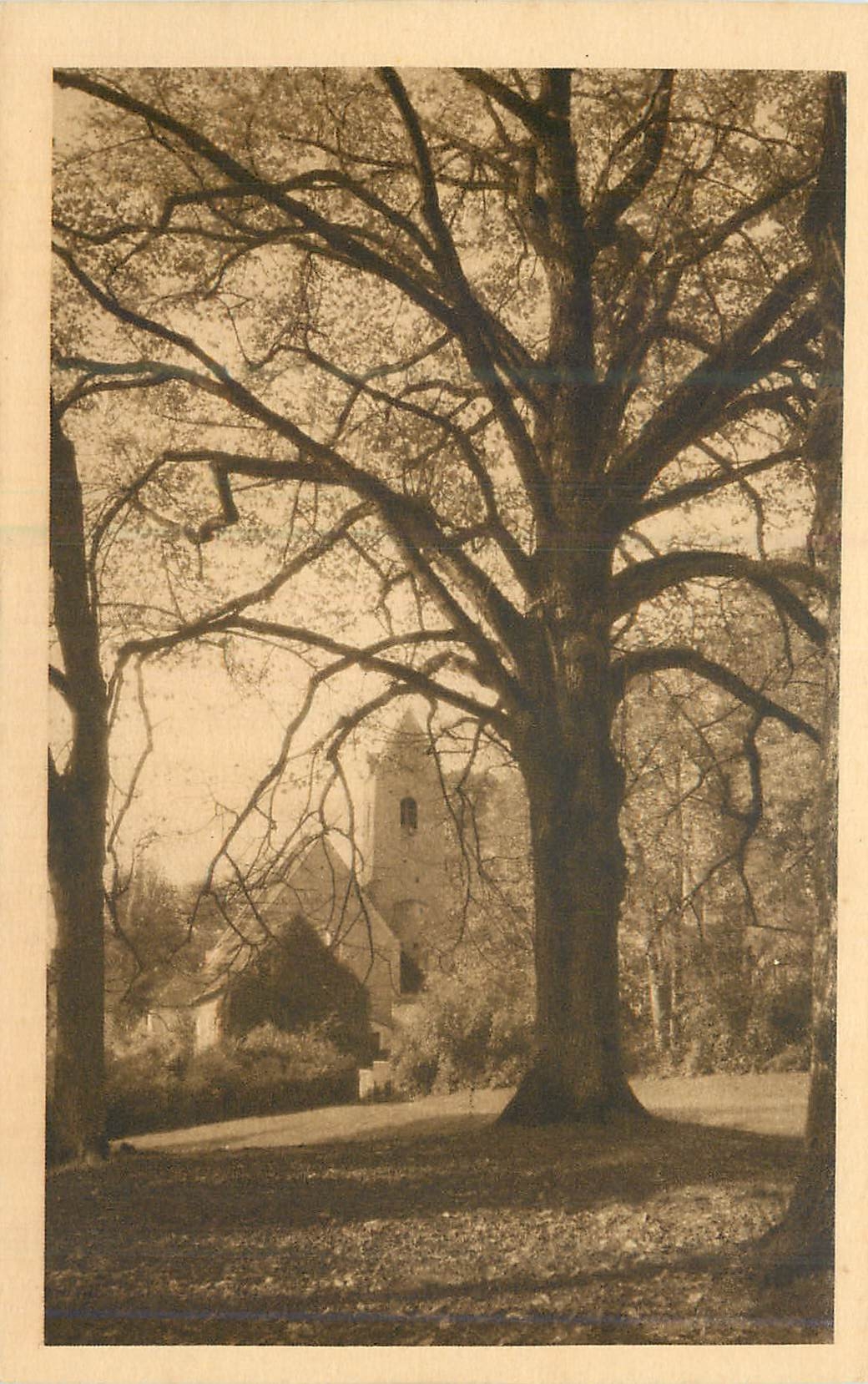 Juigné (Sarthe) — L'Église, vue du parc du Château — éditions artistiques (reproduction interdite)