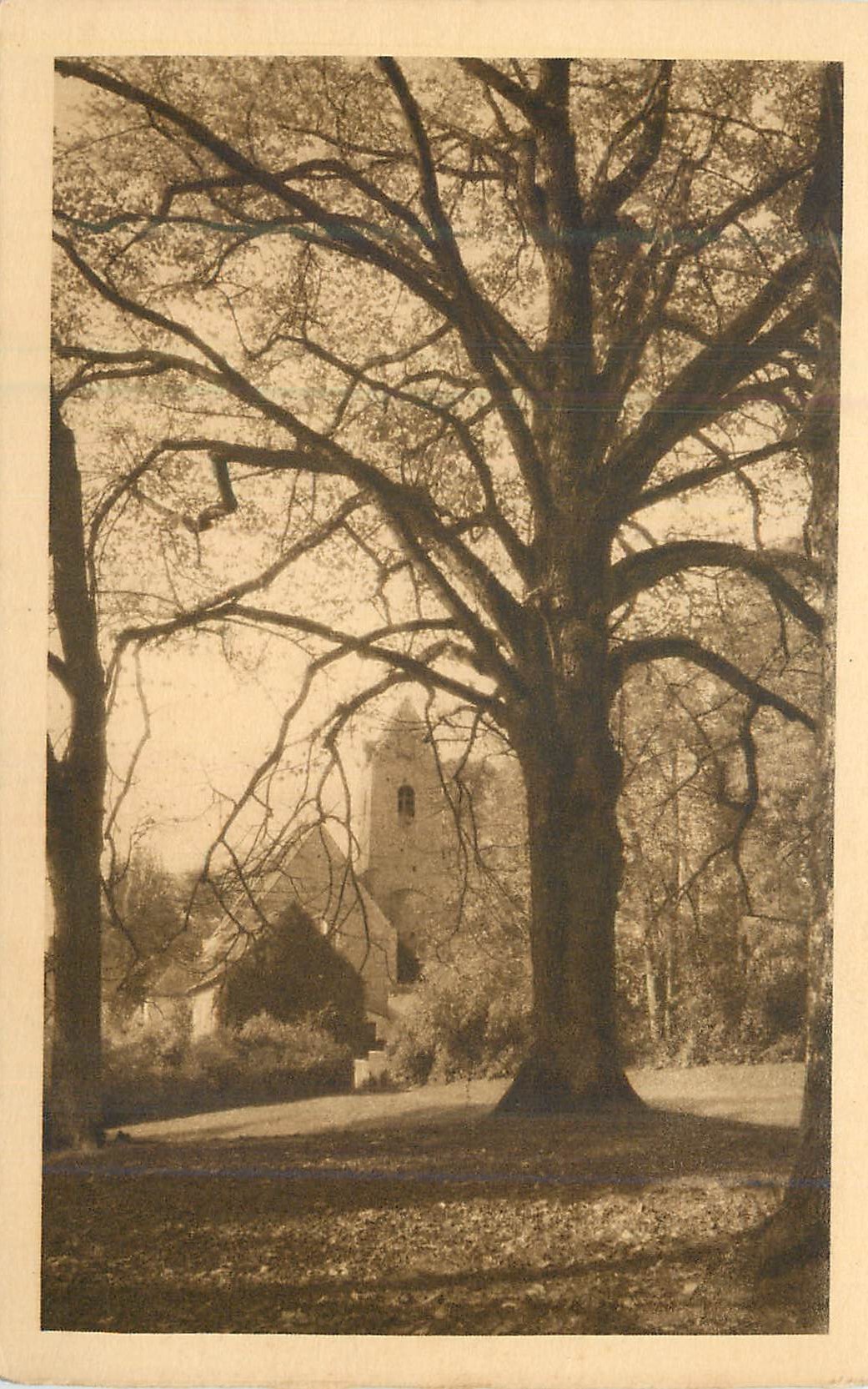 CPA Juigne (Sarthe) l'eglise vue du parc du chateau