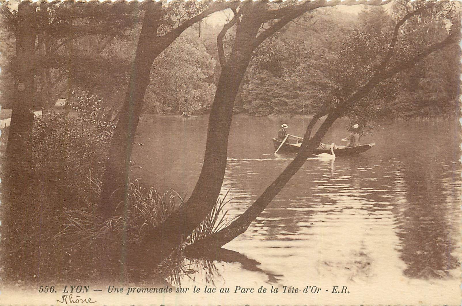 CPA Lyon une promenade sur le lac au parc de la tete d'or