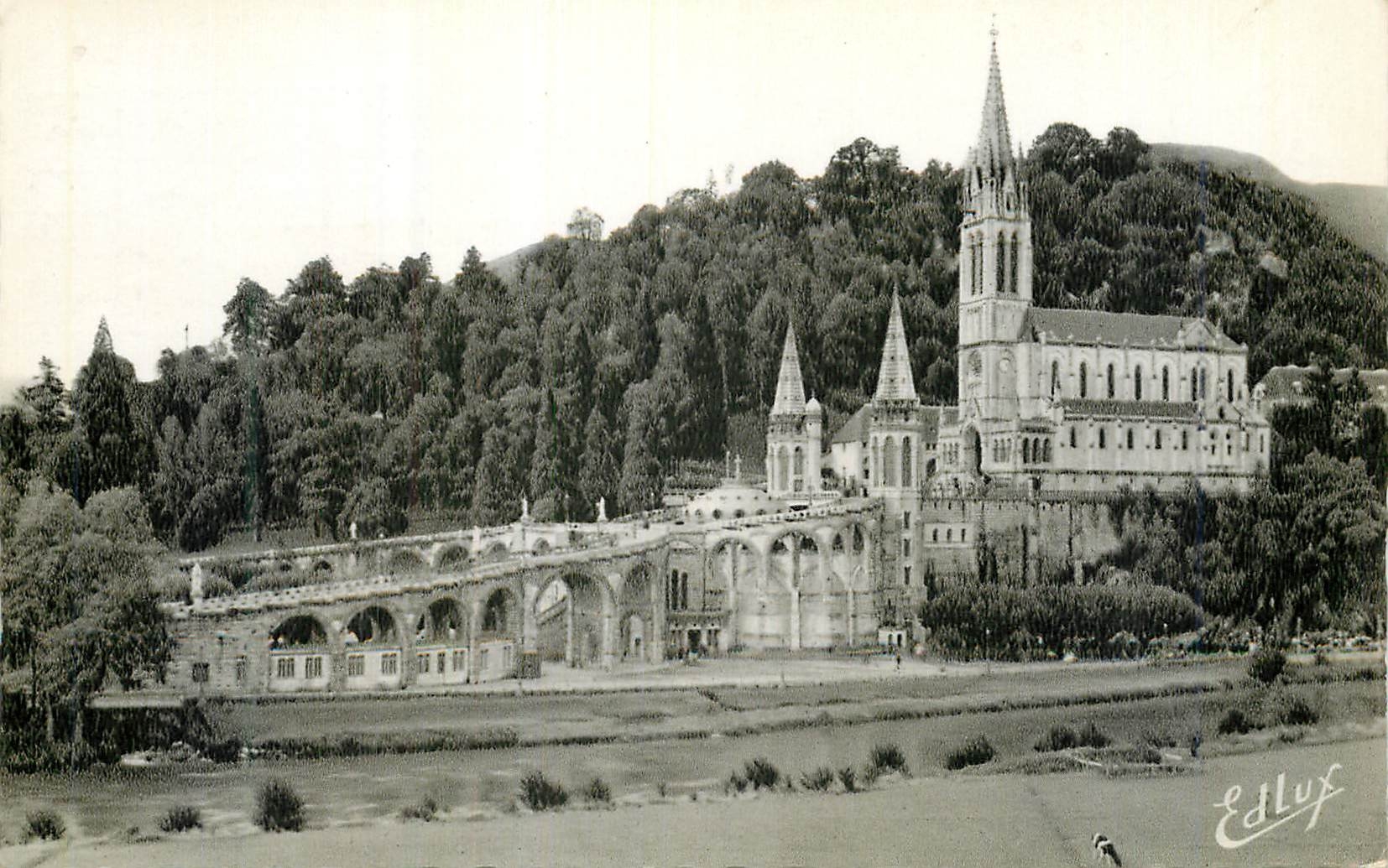 CPM Lourdes La Basilique Vue d'ensemble