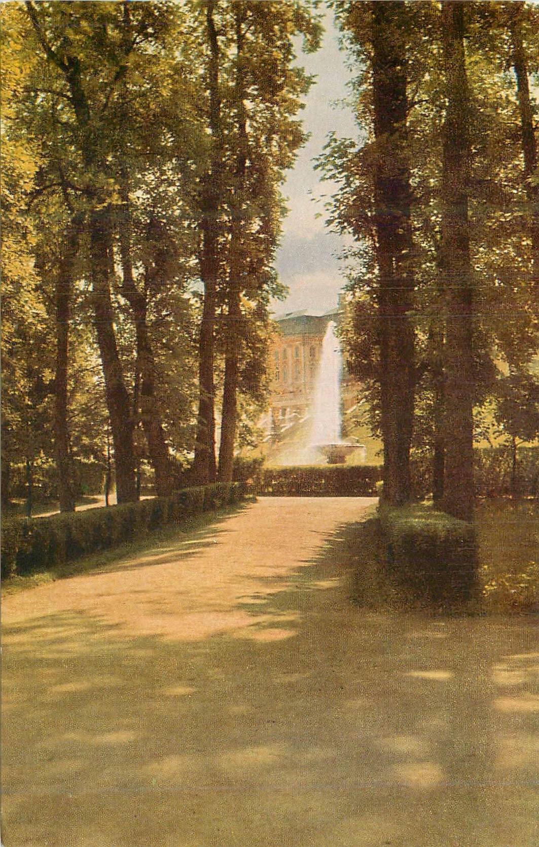 CPA Petrodvorets Alley in the park In the distance Great Fountain