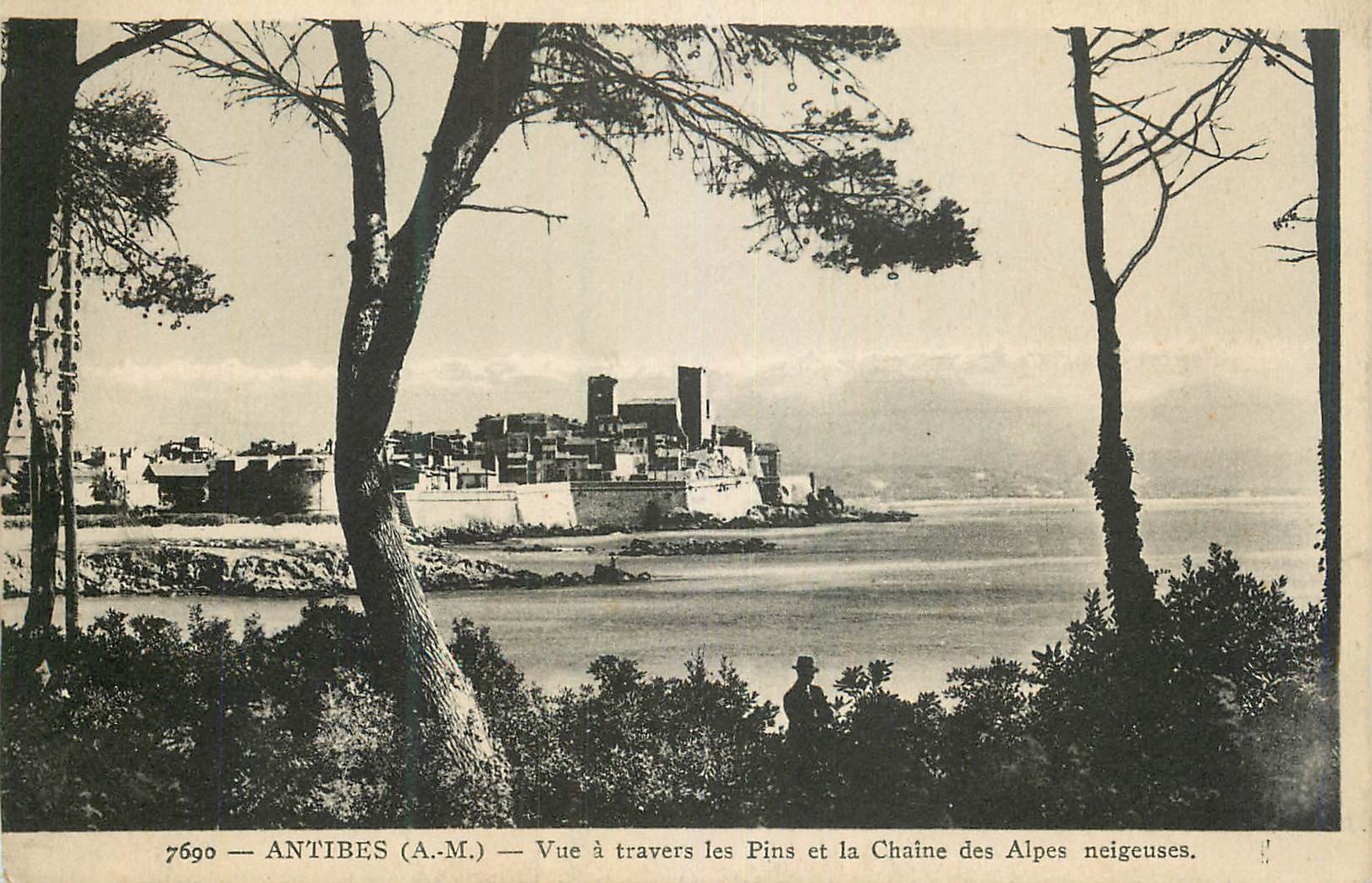 Antibes (A.M.) — Vue à travers les Pins et la Chaîne des Alpes neigeuses — éditeur Lévy & Neurdein, Nice