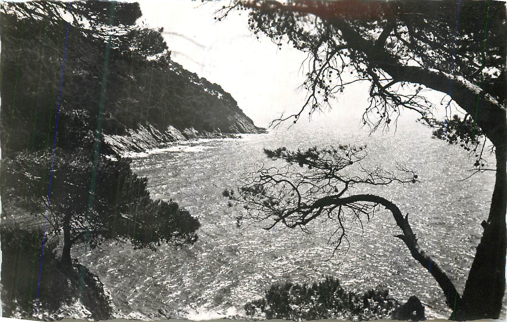 CPM Cavalaire-Sur-Mer (Var) Pointe de la Vigie