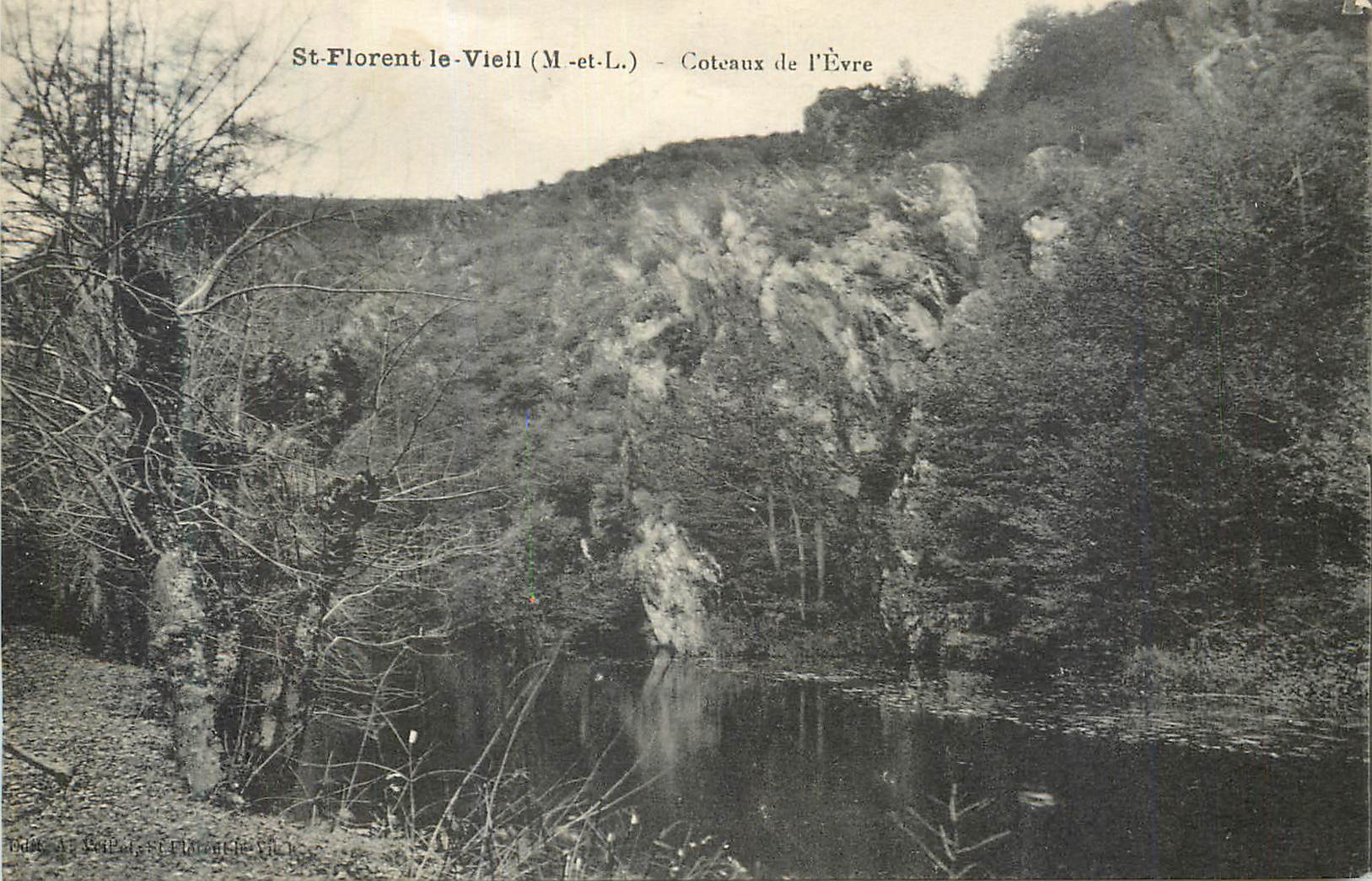 CPA St Florent le Viell (M et L) Coteaux de l'Evre