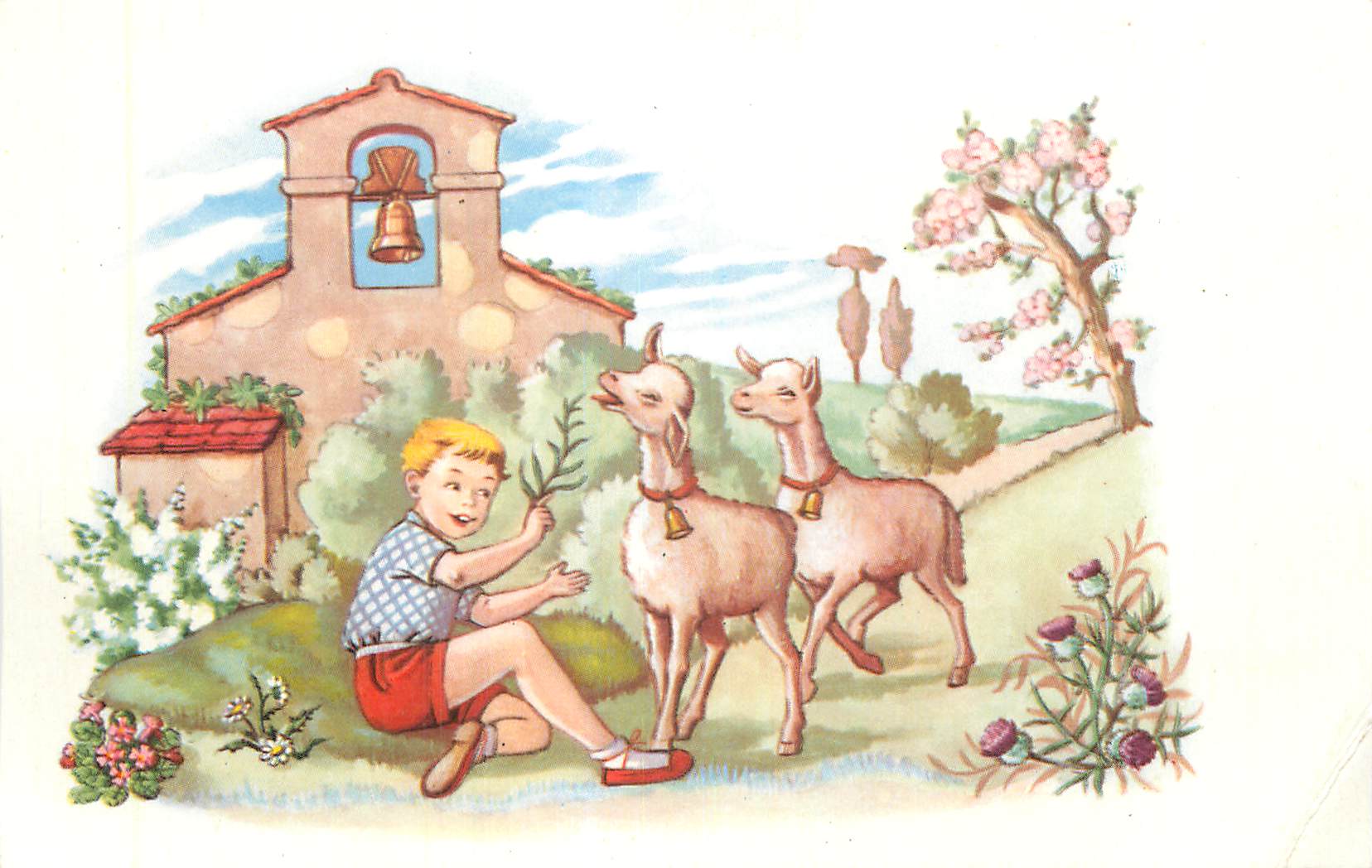 CPA Enfant Moutons