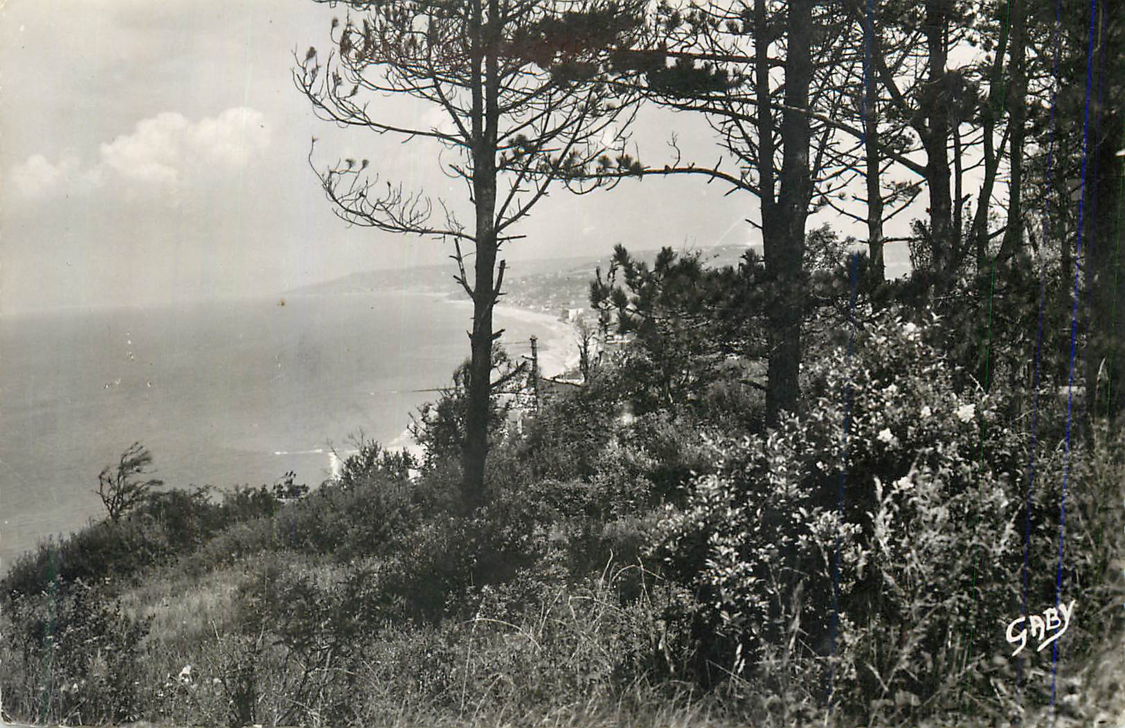 CPM Villlres-Sur-Mer (Calvados) Vue panoramique a travers les Pins