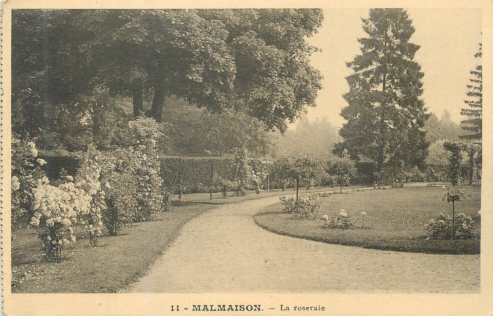 CPA Malmaison La roseraie